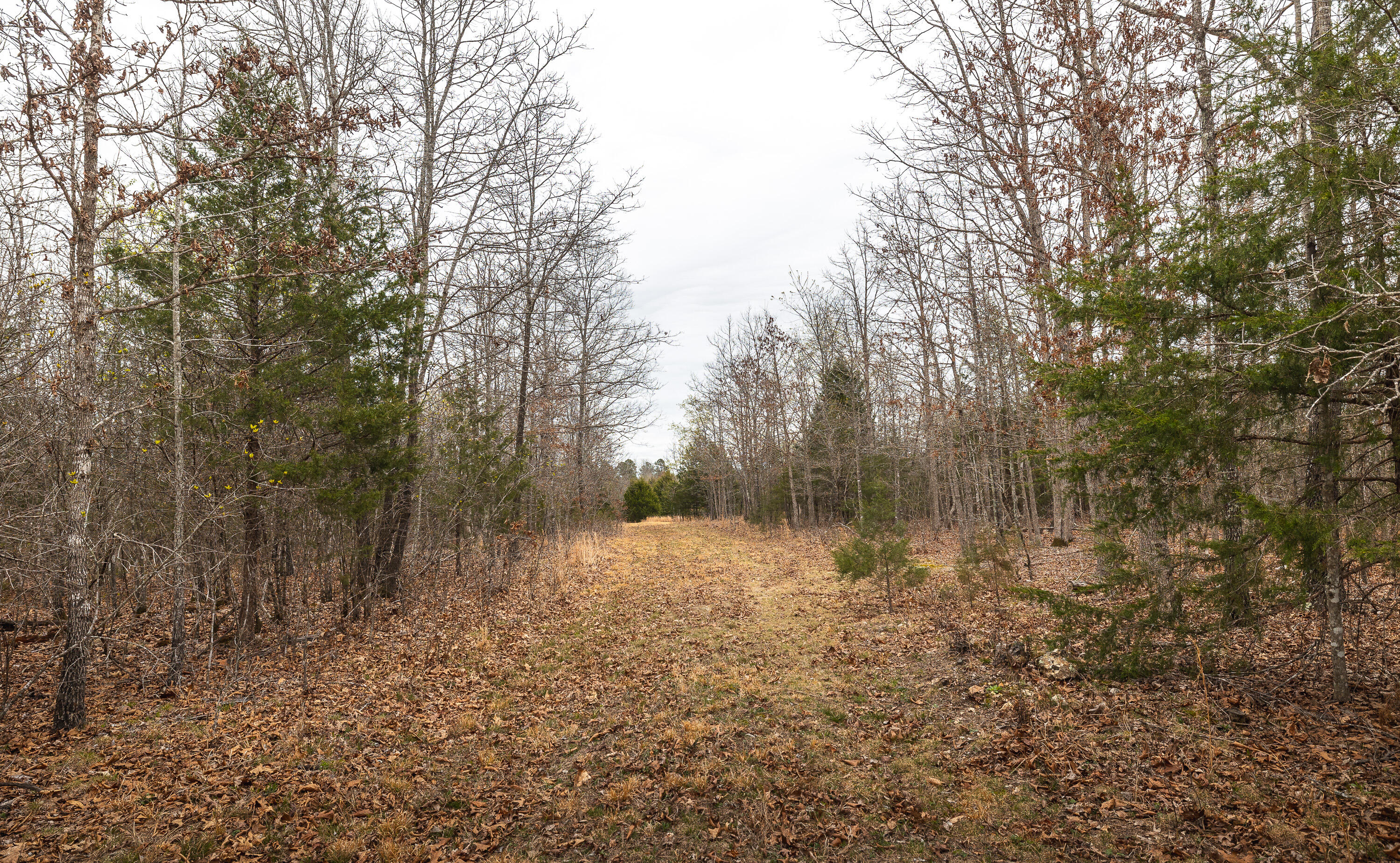 000 County Road 2660 Property Photo 5