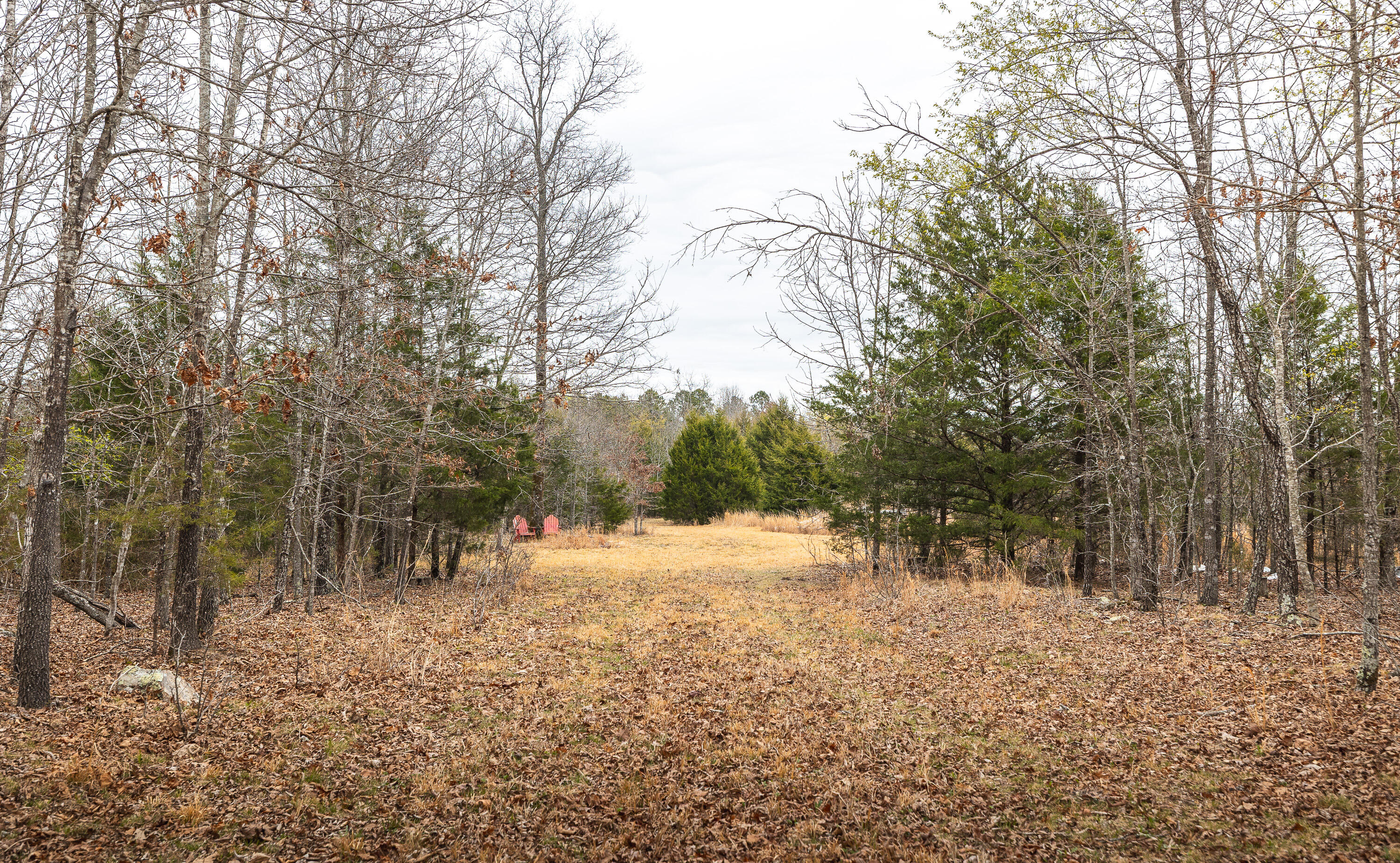 000 County Road 2660 Property Photo 6