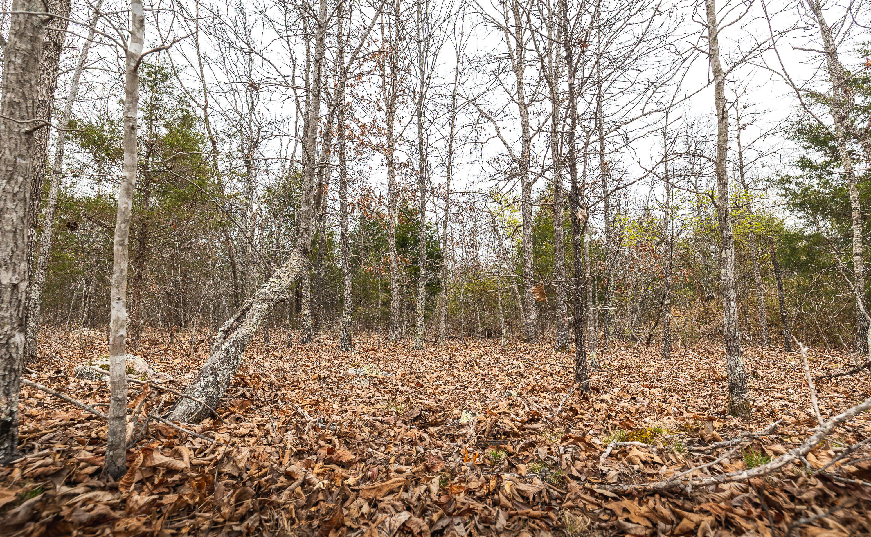 000 County Road 2660 Property Photo 8