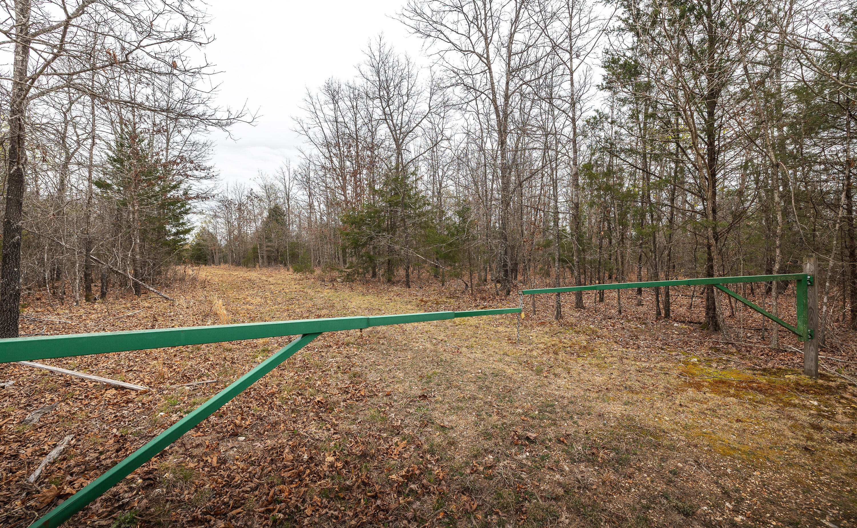 000 County Road 2660 Property Photo 10