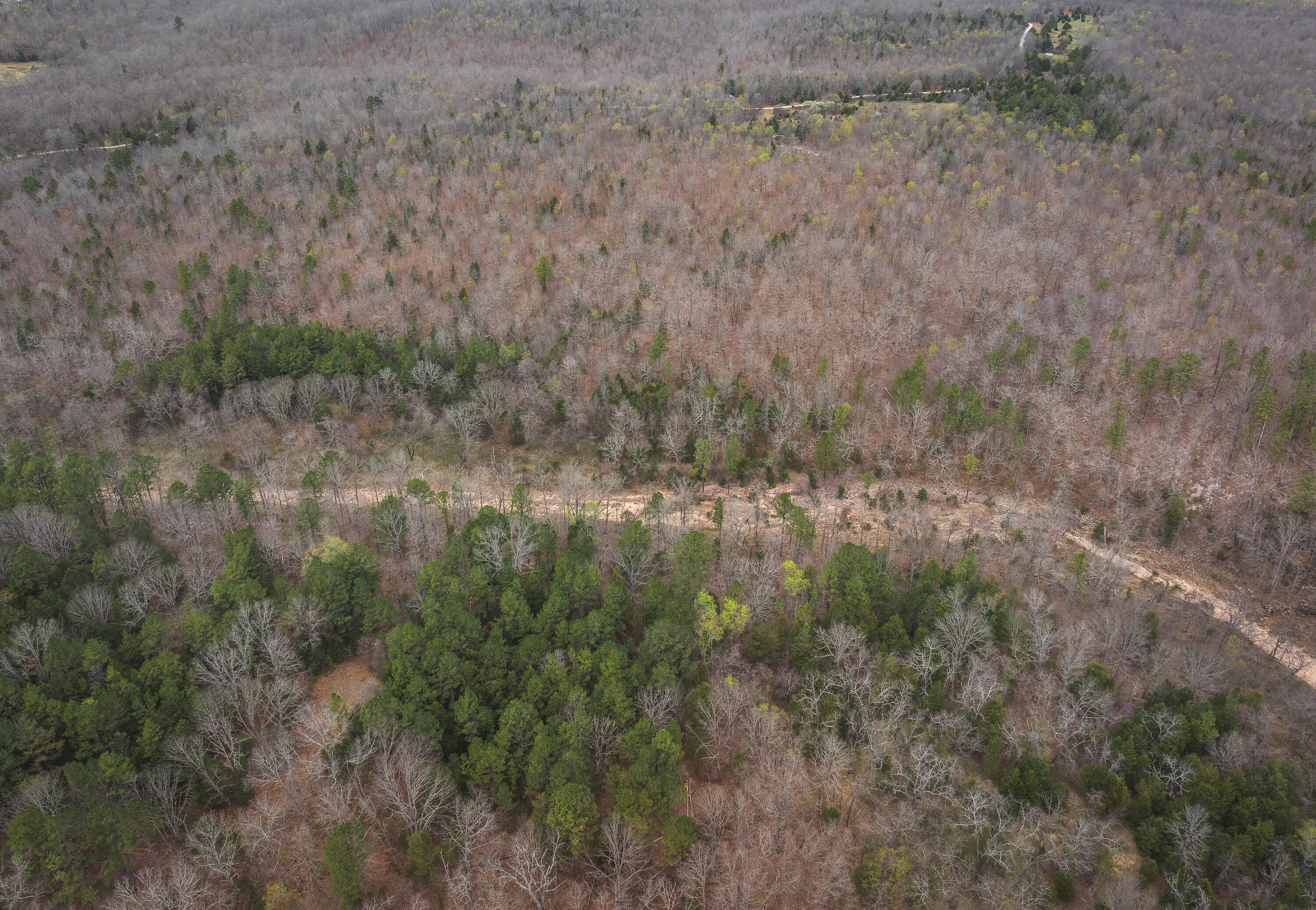 000 County Road 2660 Property Photo 15