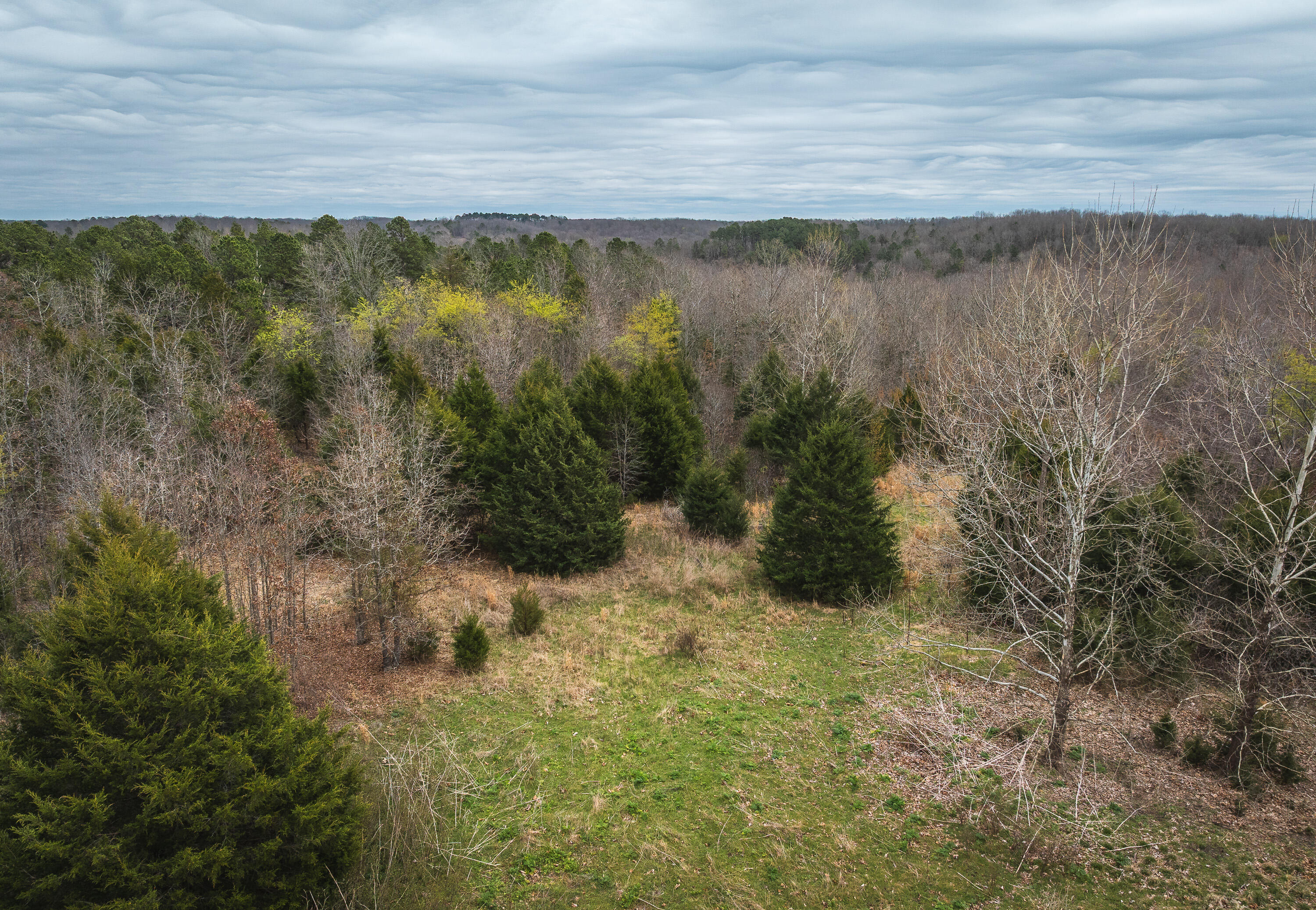 000 County Road 2660 Property Photo 18