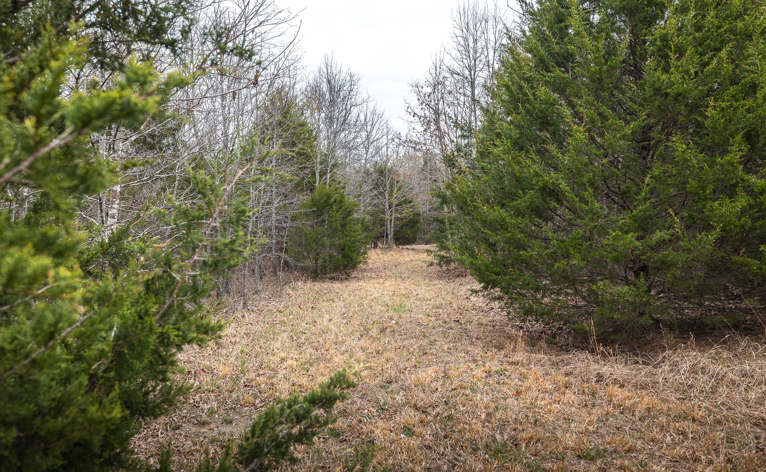 000 County Road 2660 Property Photo 20