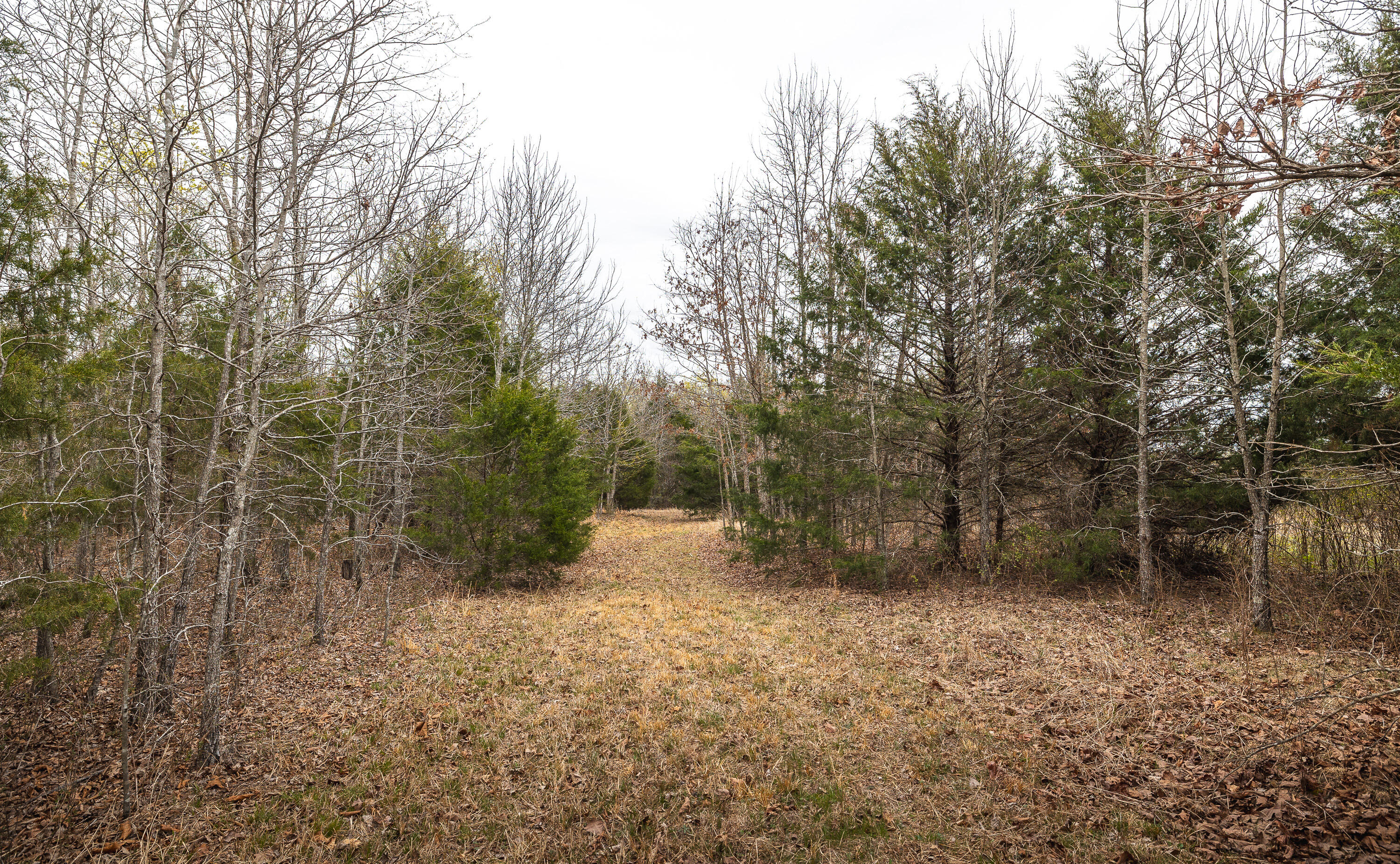000 County Road 2660 Property Photo 21