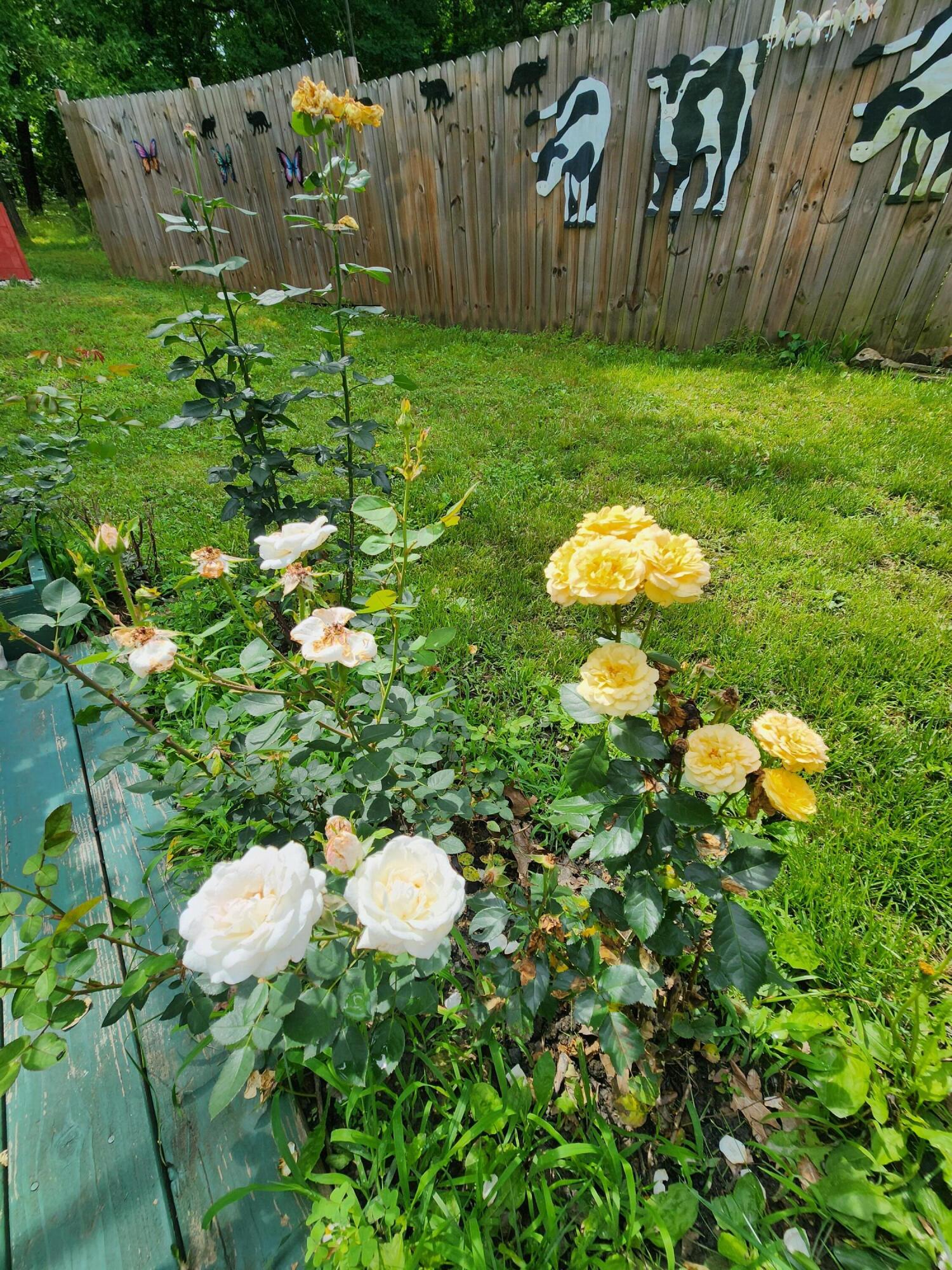 2282 Turnbo Road Property Photo 20