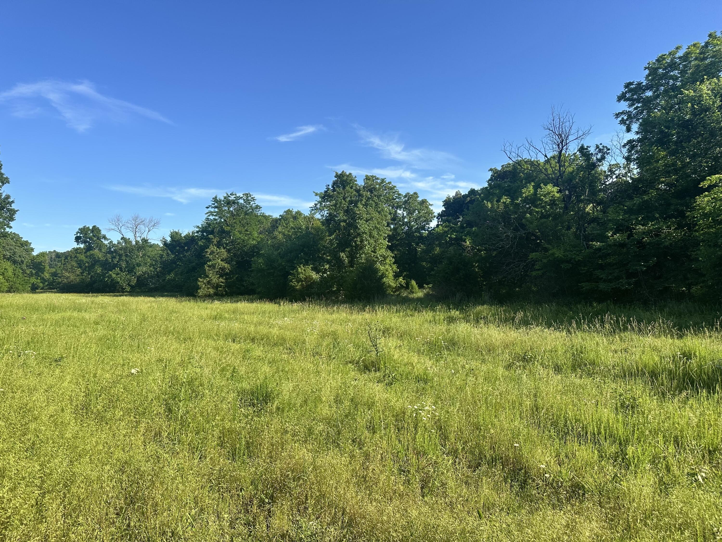 14188 County Road 195 Property Photo 15