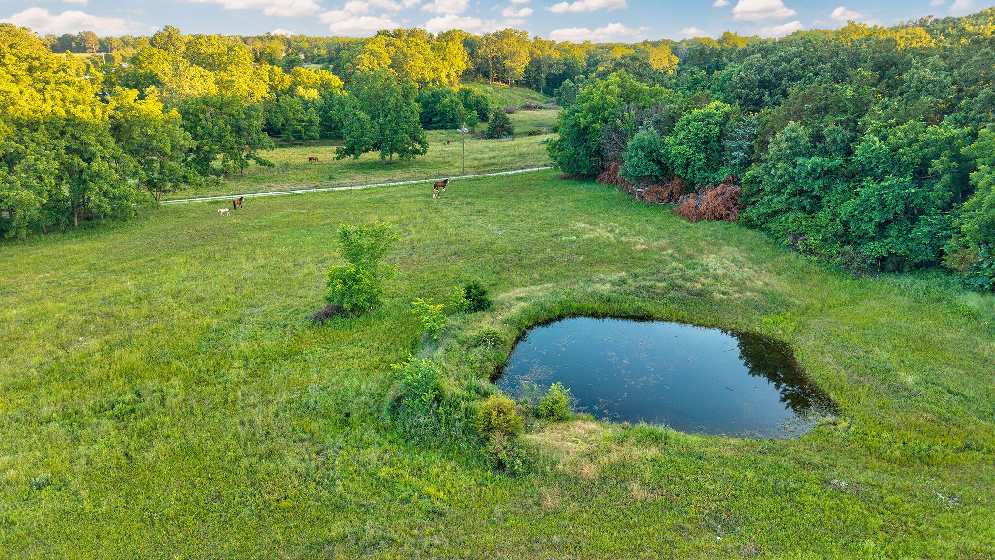 924 Plank School Road Property Photo 10