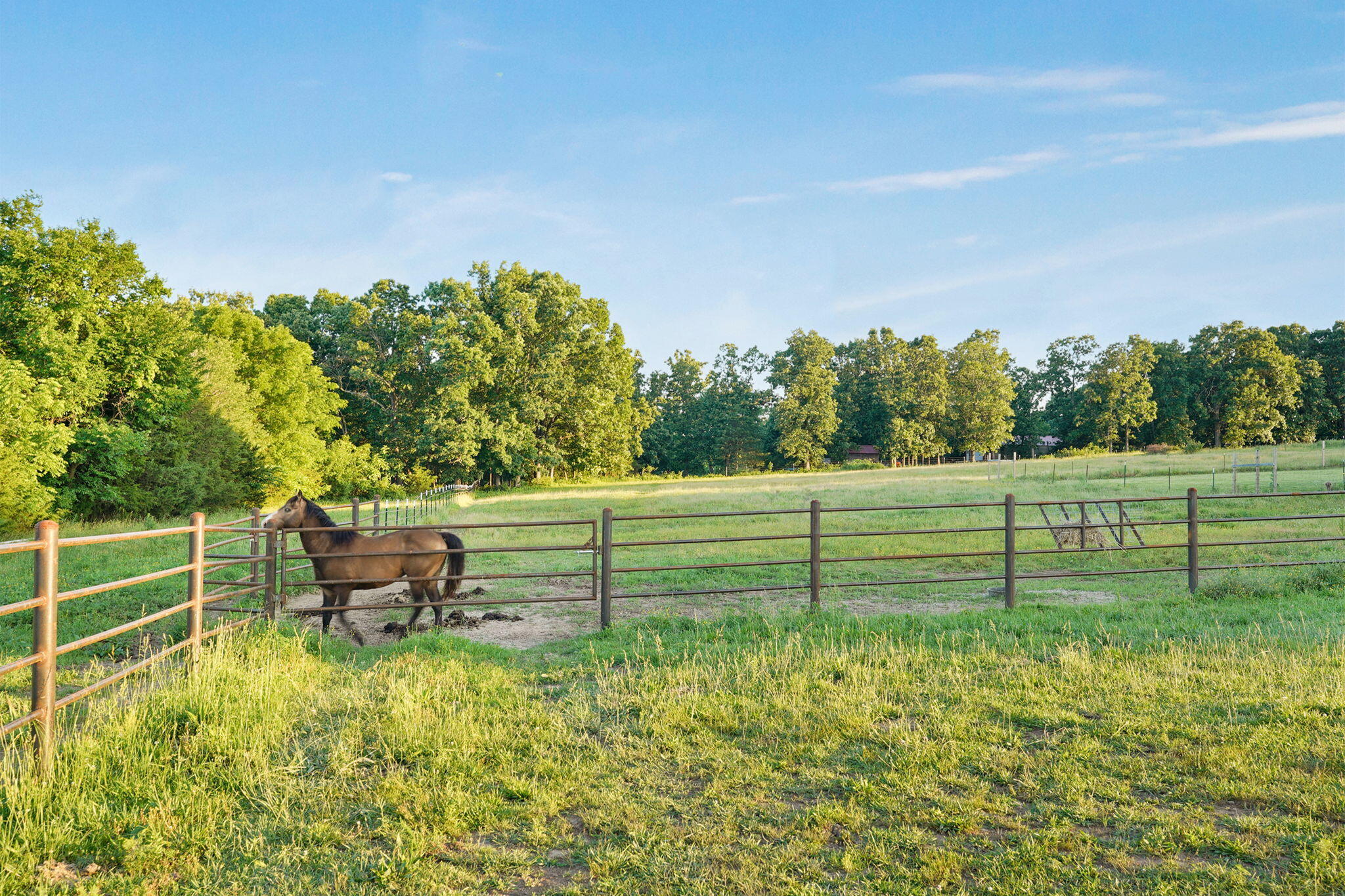 924 Plank School Road Property Photo 37