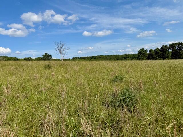 000 State Highway Ad Property Photo 12
