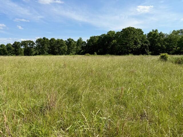 000 State Highway Ad Property Photo 22