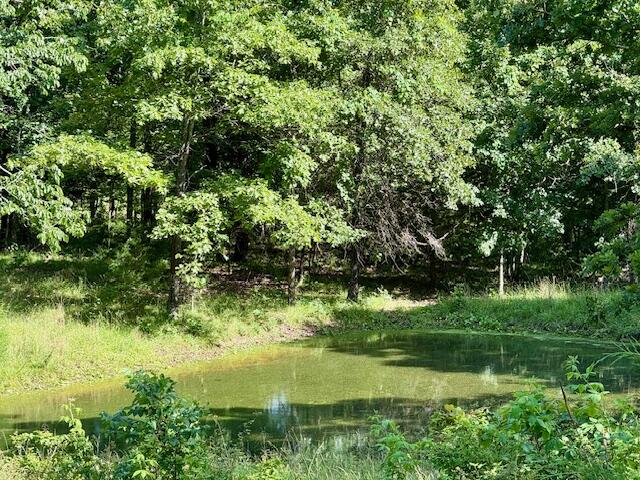 000 State Highway Ad Property Photo 27