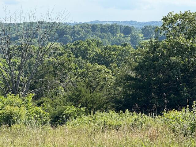 000 State Highway Ad Property Photo 38