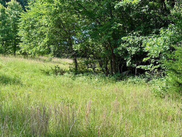 000 State Highway Ad Property Photo 41