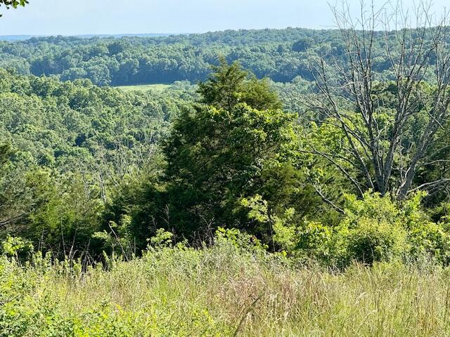 000 State Highway Ad Property Photo 44
