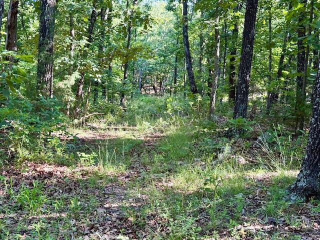 000 State Highway Ad Property Photo 54