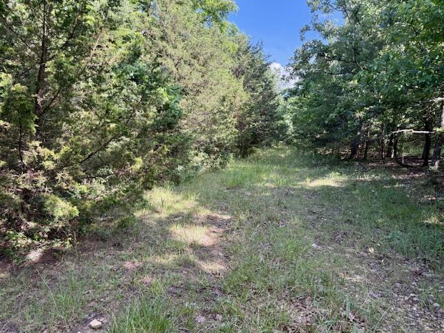 000 State Highway Ad Property Photo 55