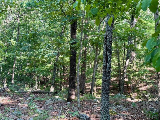 000 State Highway Ad Property Photo 60