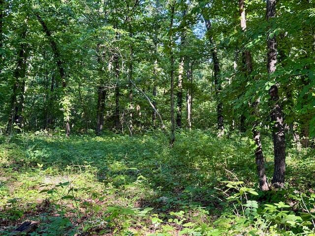 000 State Highway Ad Property Photo 61