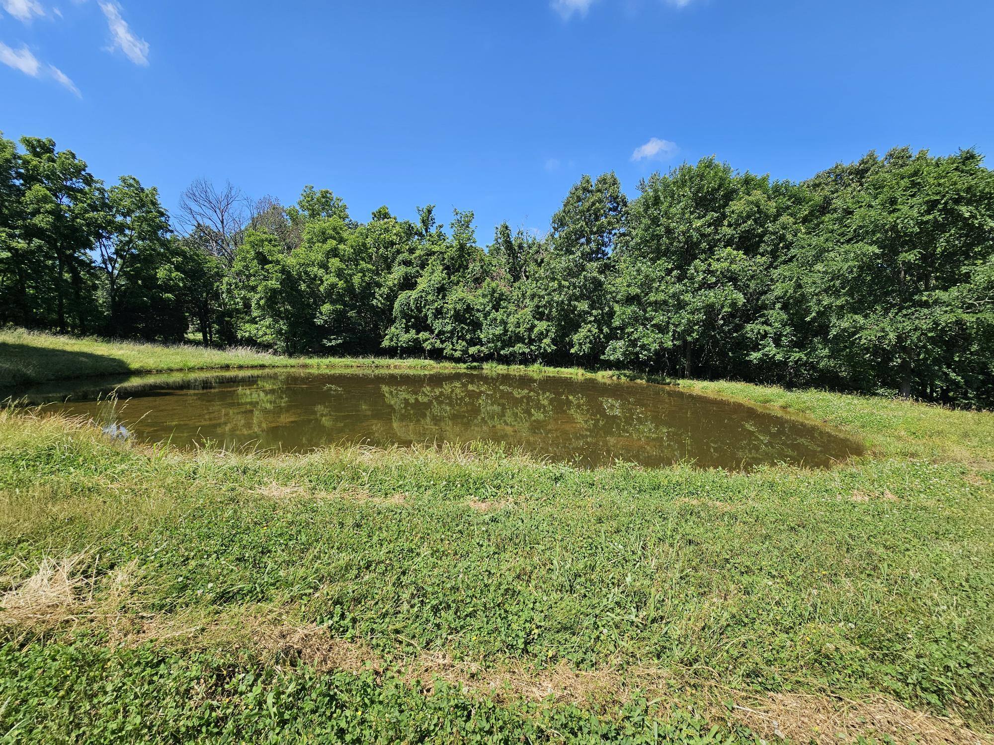 5383 Cowan Ridge Road Property Photo 3