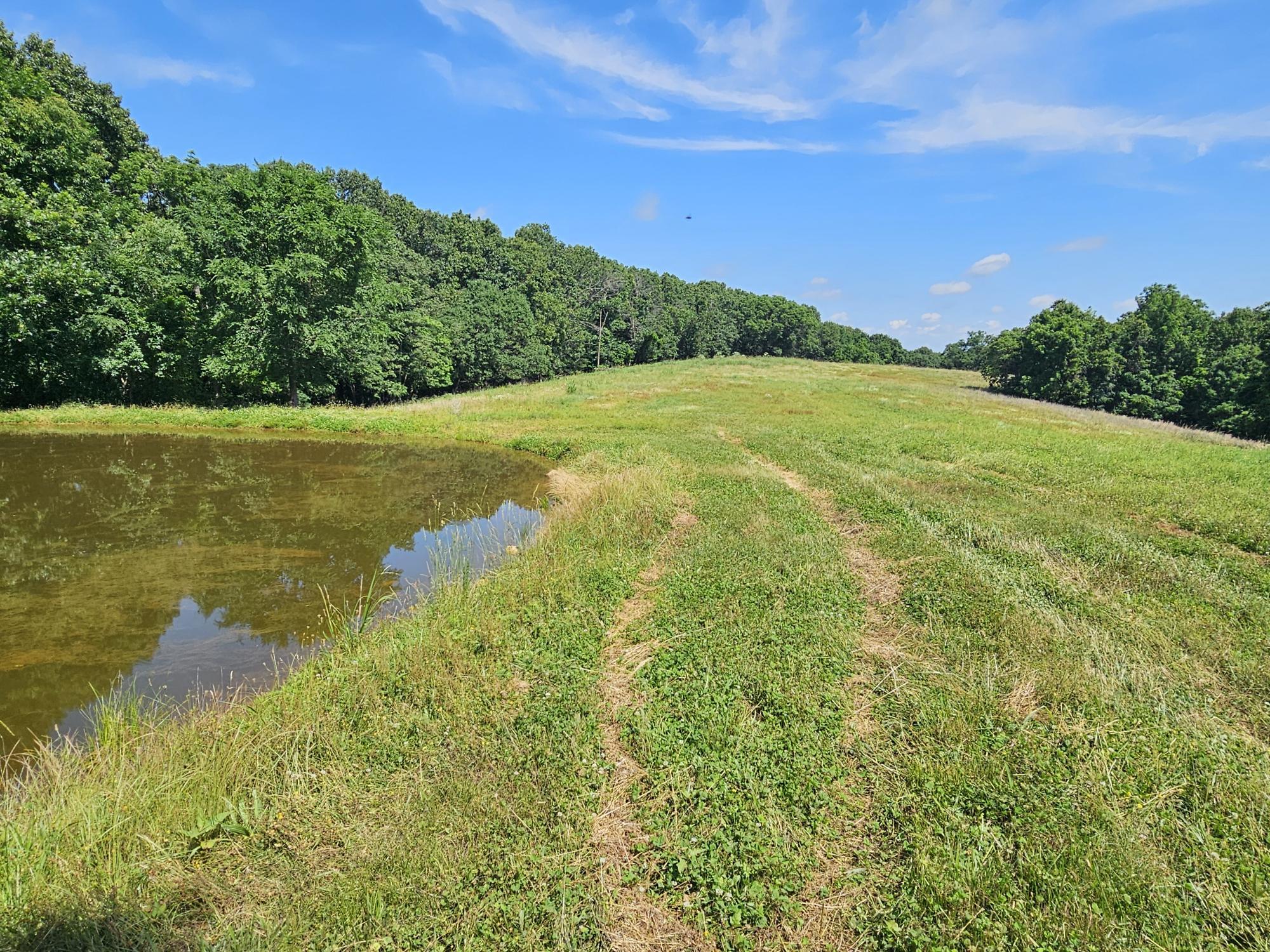 5383 Cowan Ridge Road Property Photo 4