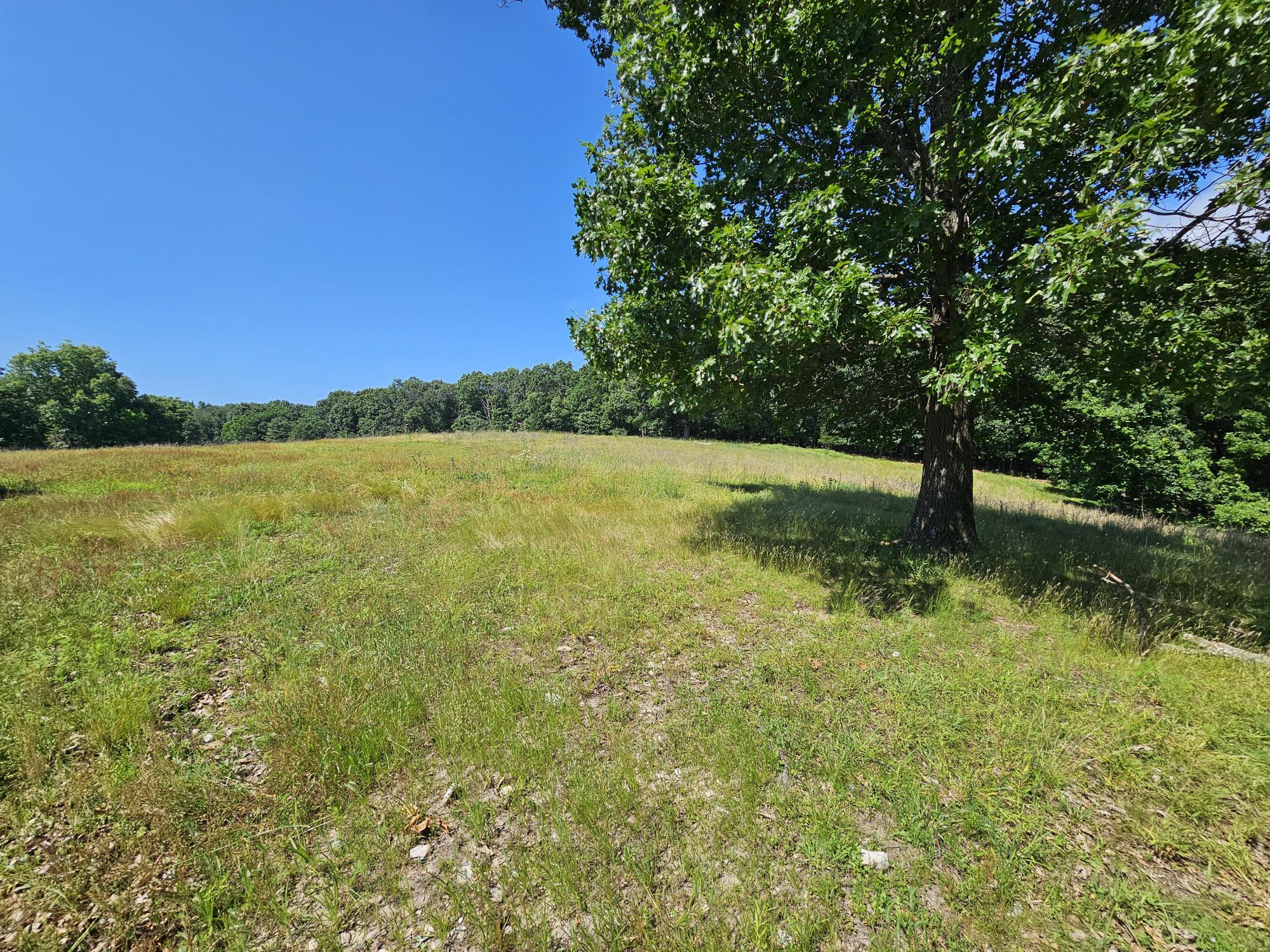 5383 Cowan Ridge Road Property Photo 5