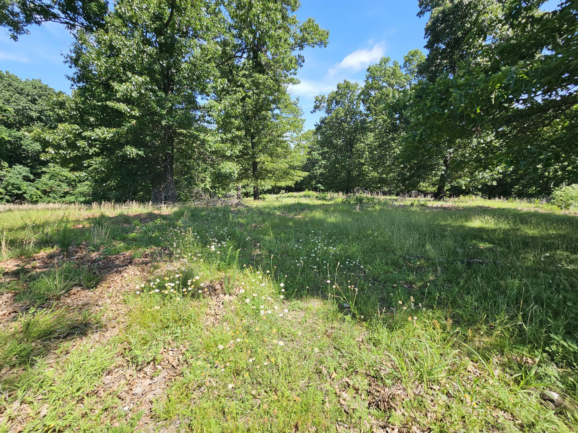 5383 Cowan Ridge Road Property Photo 6