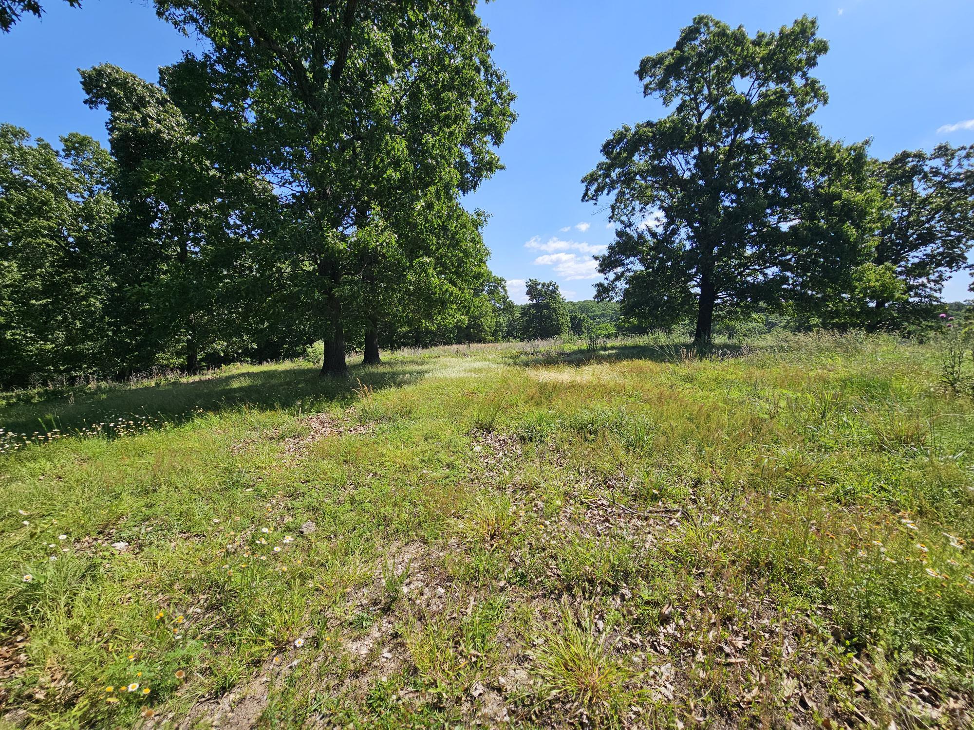 5383 Cowan Ridge Road Property Photo 7