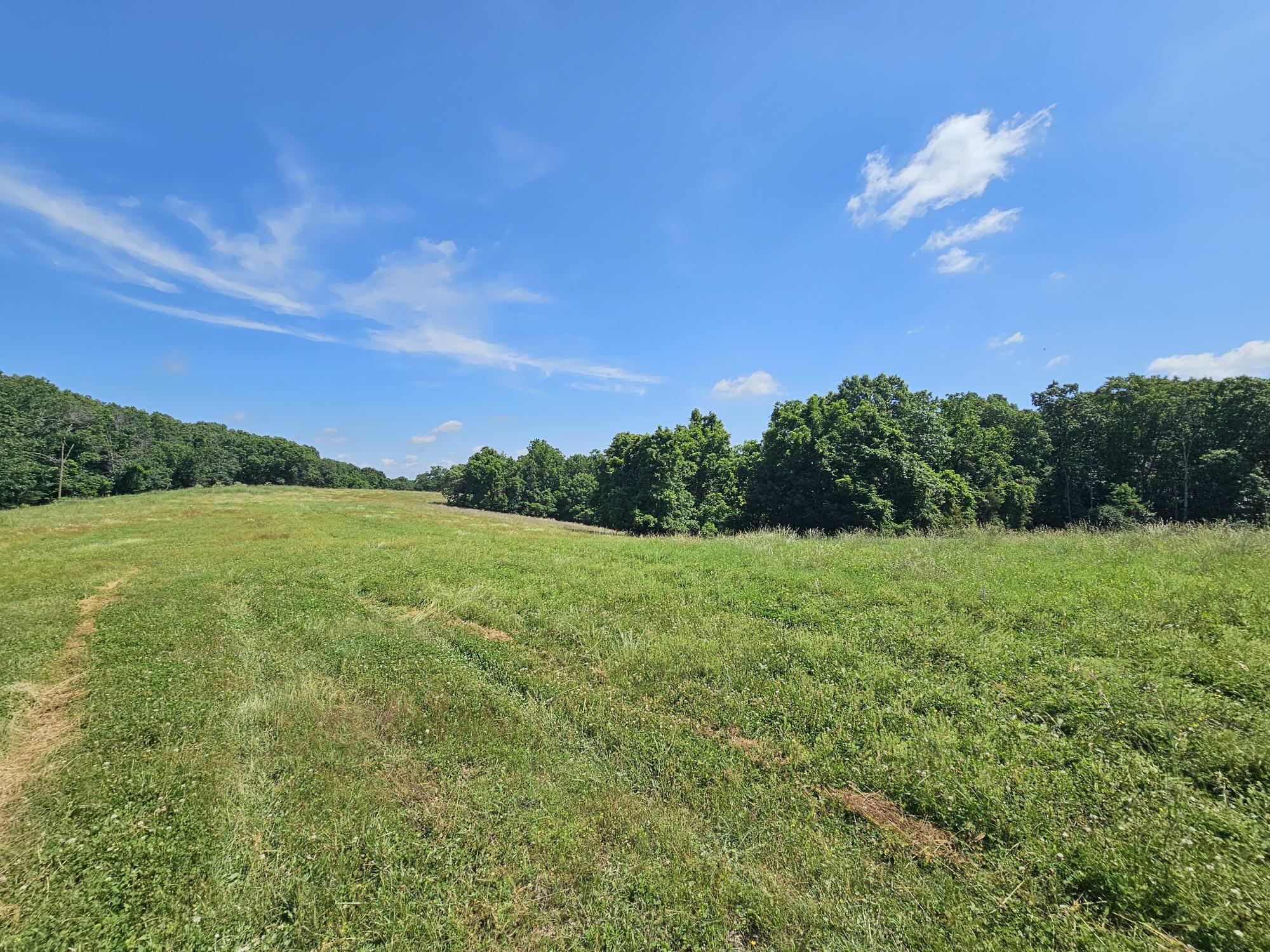 5383 Cowan Ridge Road Property Photo 8
