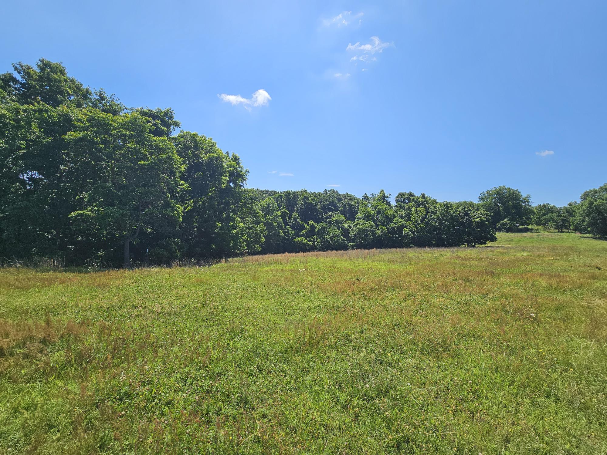5383 Cowan Ridge Road Property Photo 10