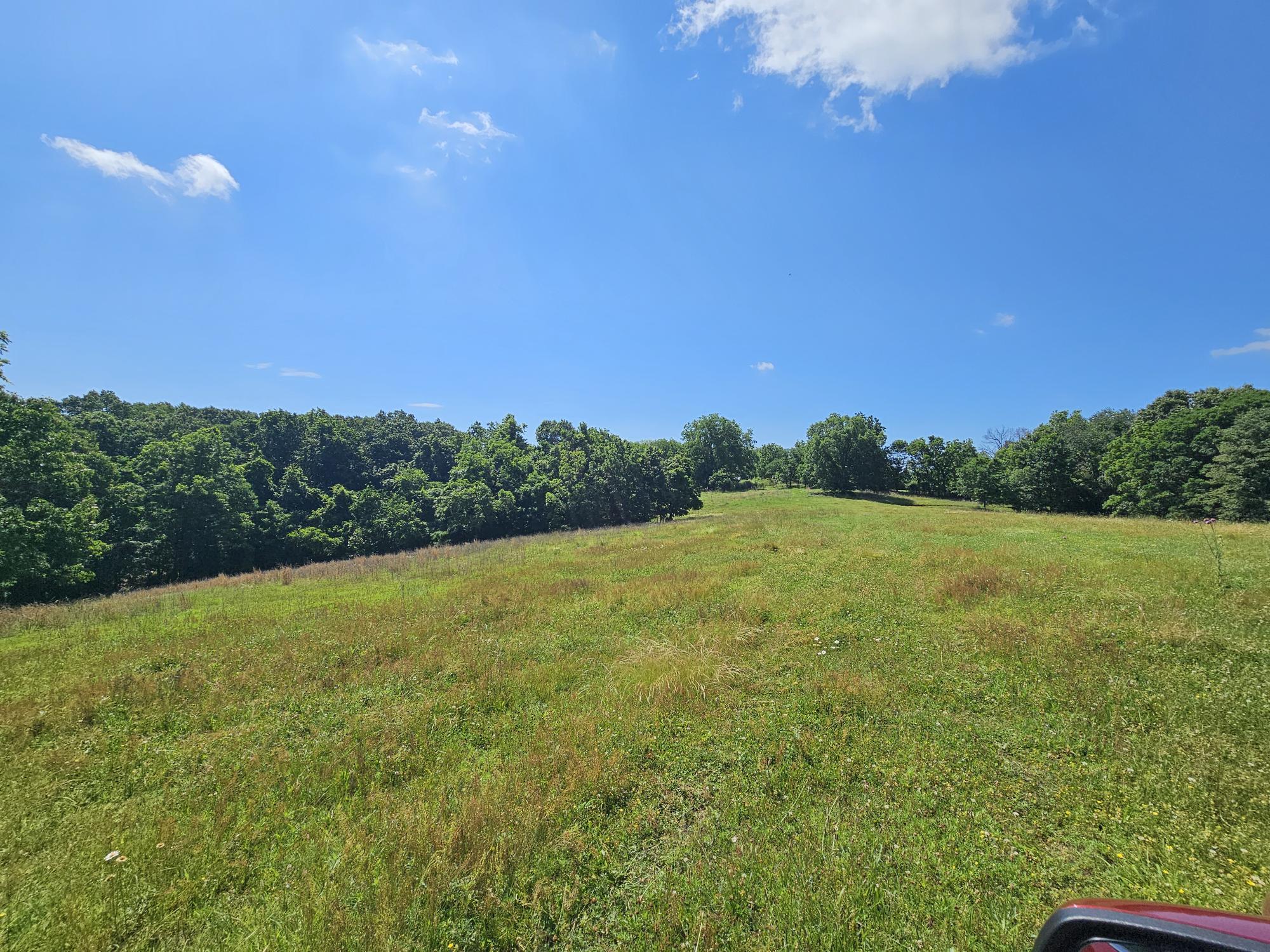 5383 Cowan Ridge Road Property Photo 11