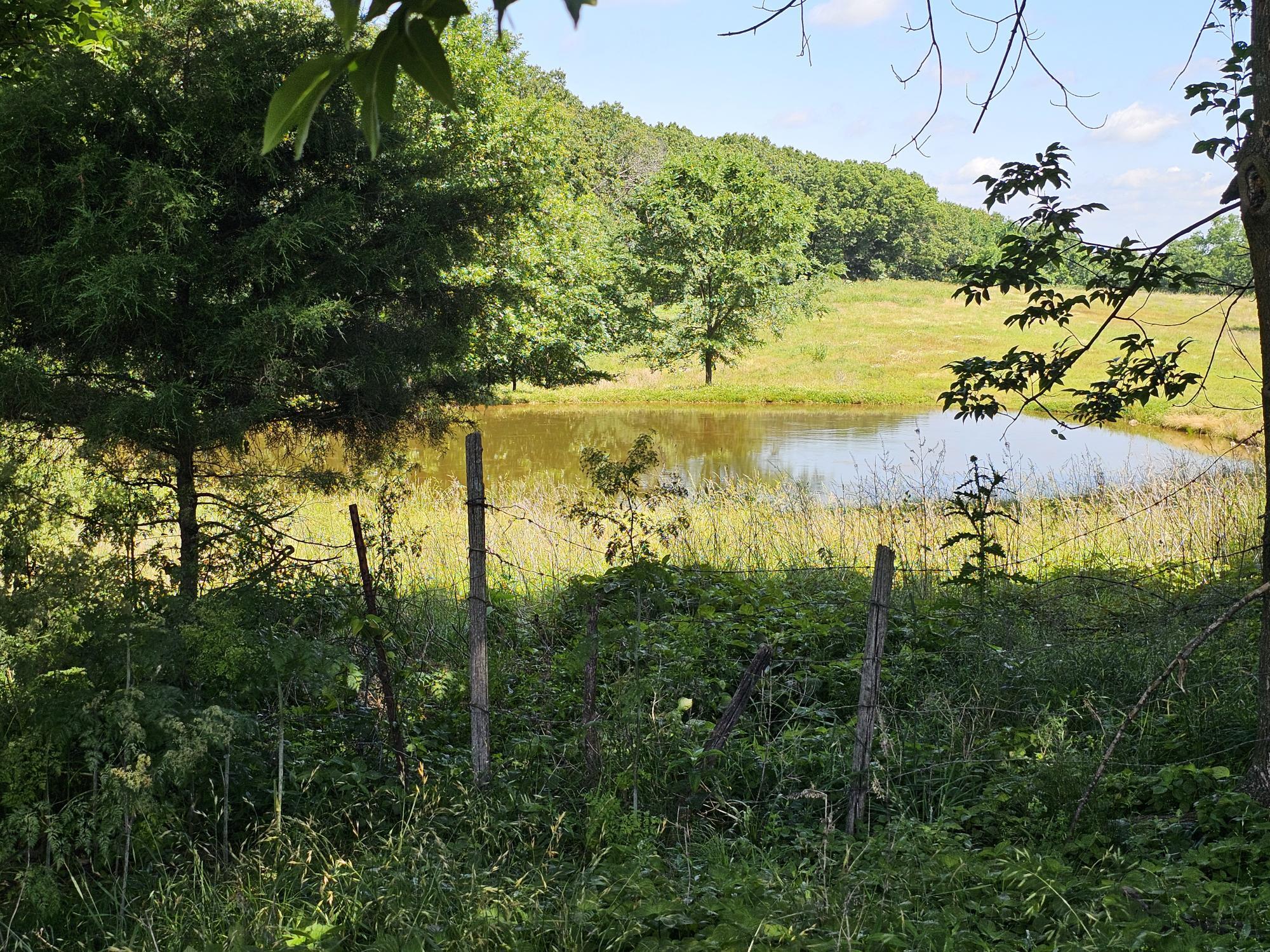 5383 Cowan Ridge Road Property Photo 15