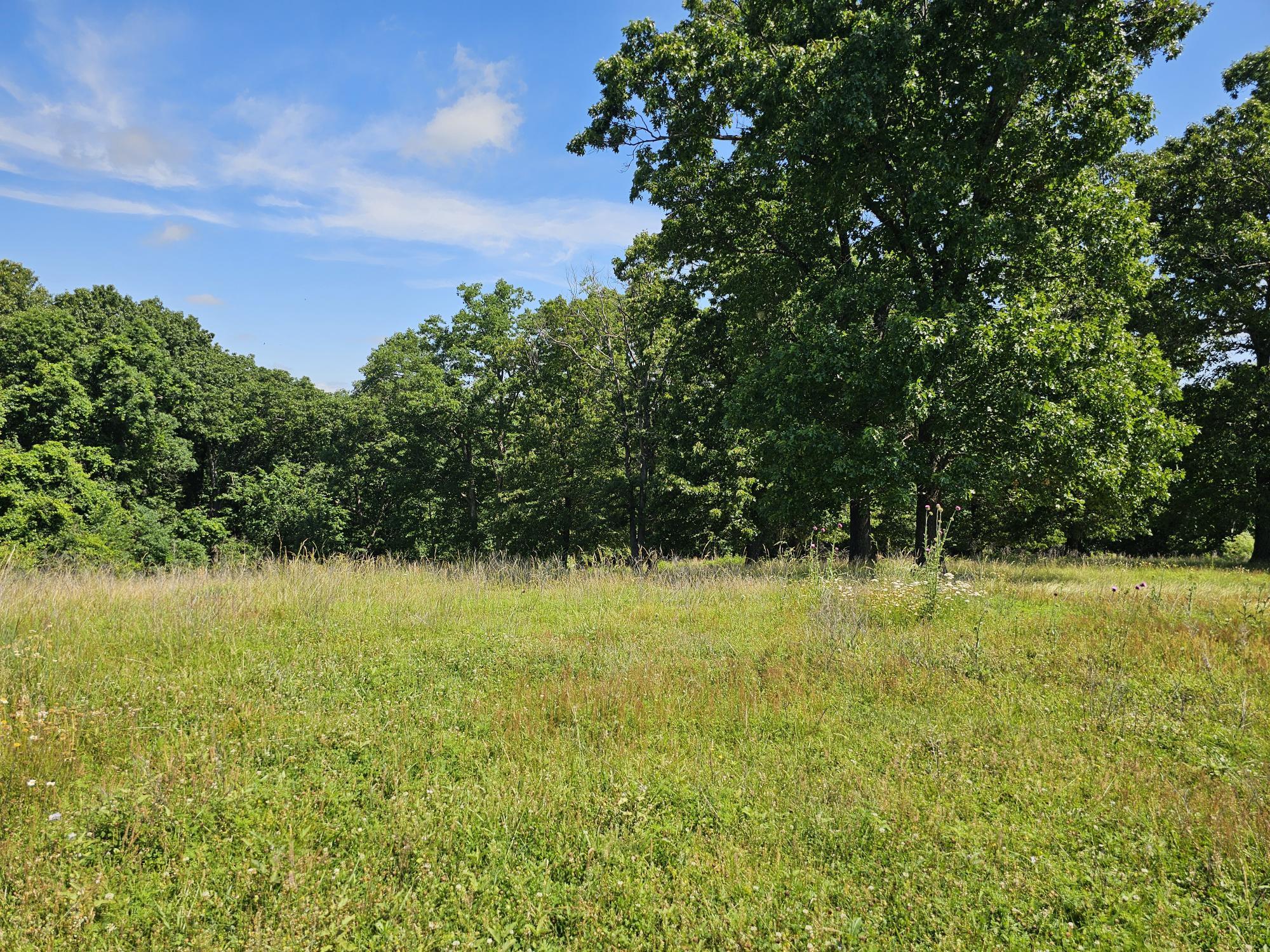 5383 Cowan Ridge Road Property Photo 17