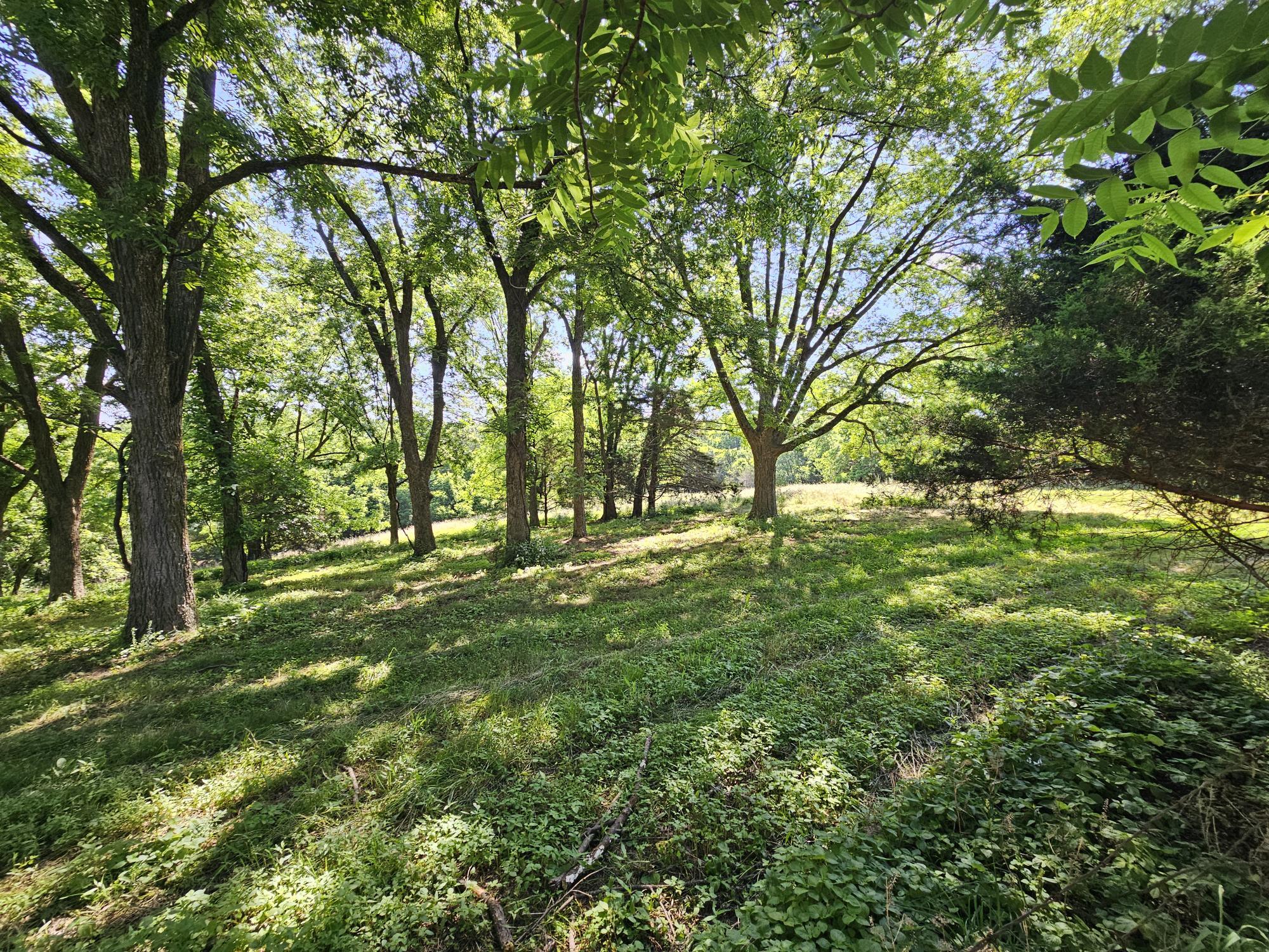 5383 Cowan Ridge Road Property Photo 19