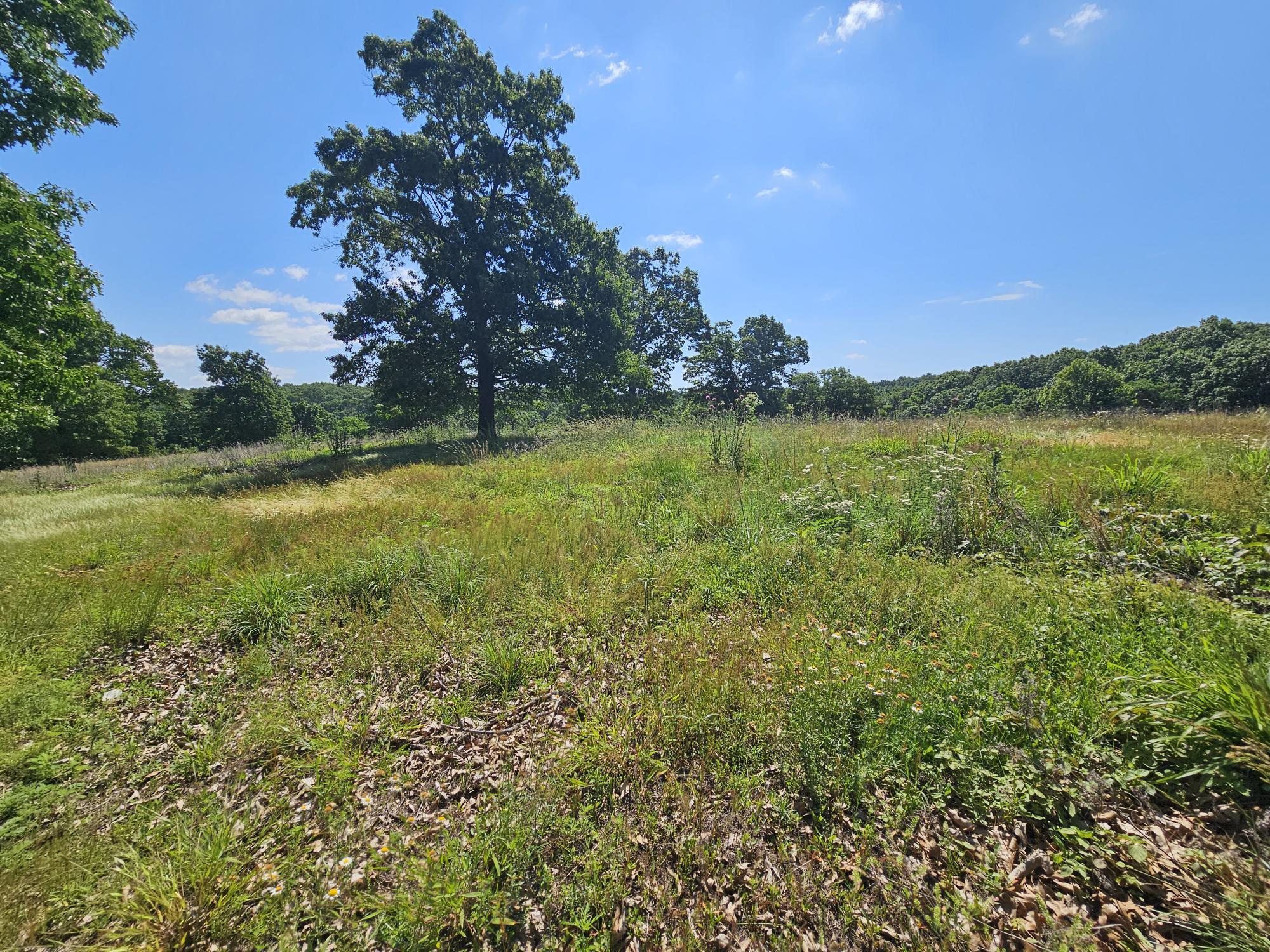 5383 Cowan Ridge Road Property Photo 22