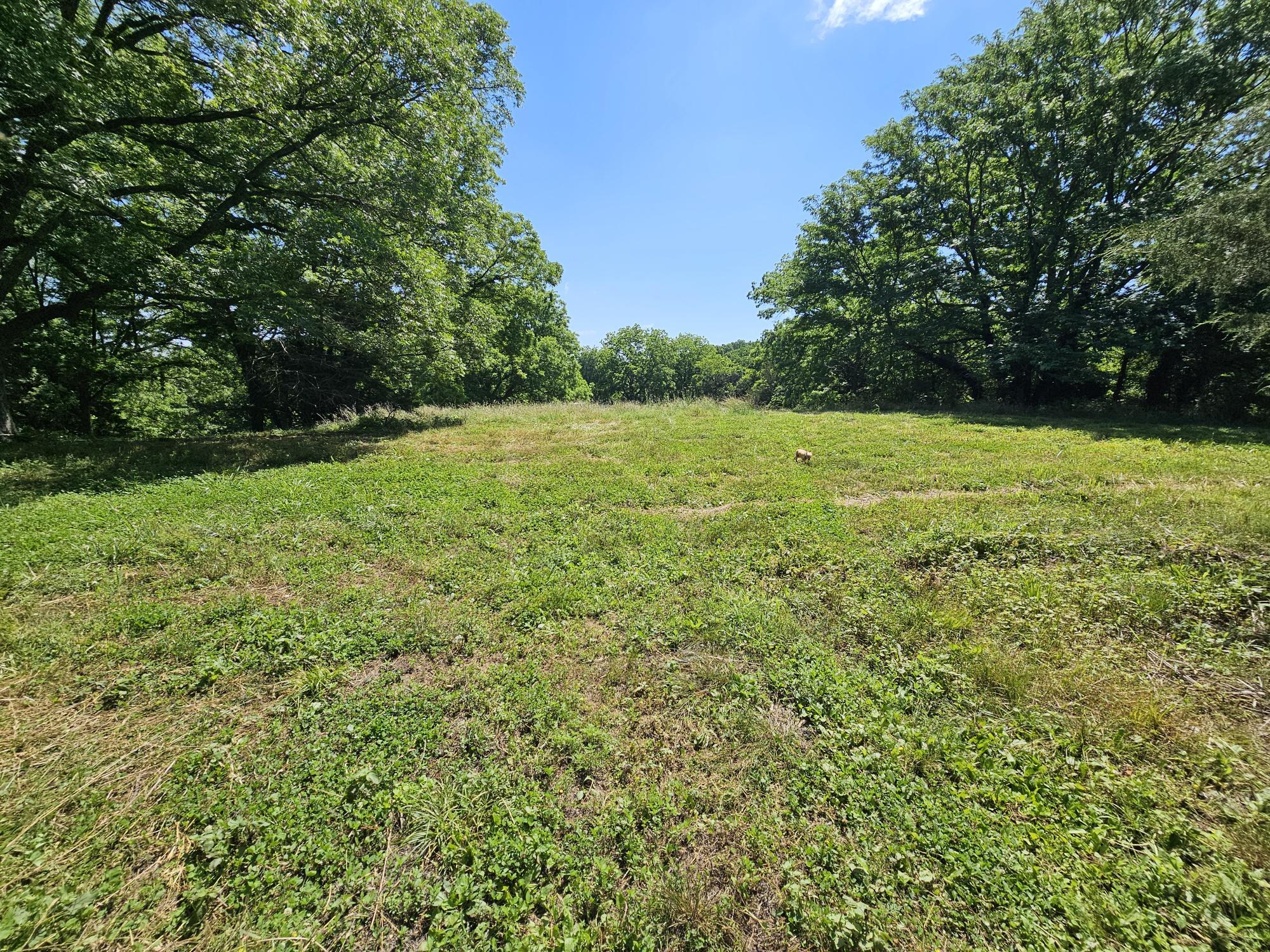 5383 Cowan Ridge Road Property Photo 23