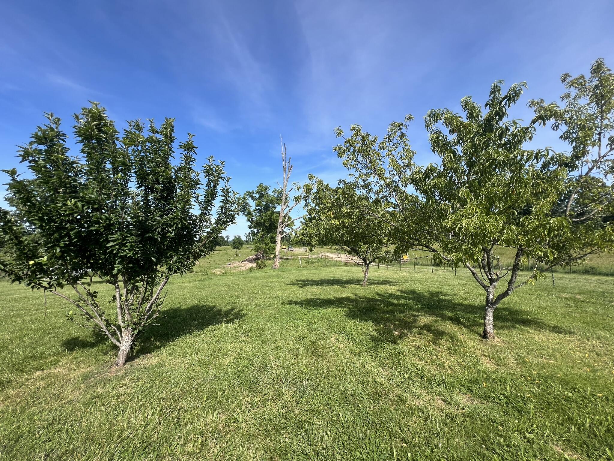 1032 County Road A-409 Property Photo 60