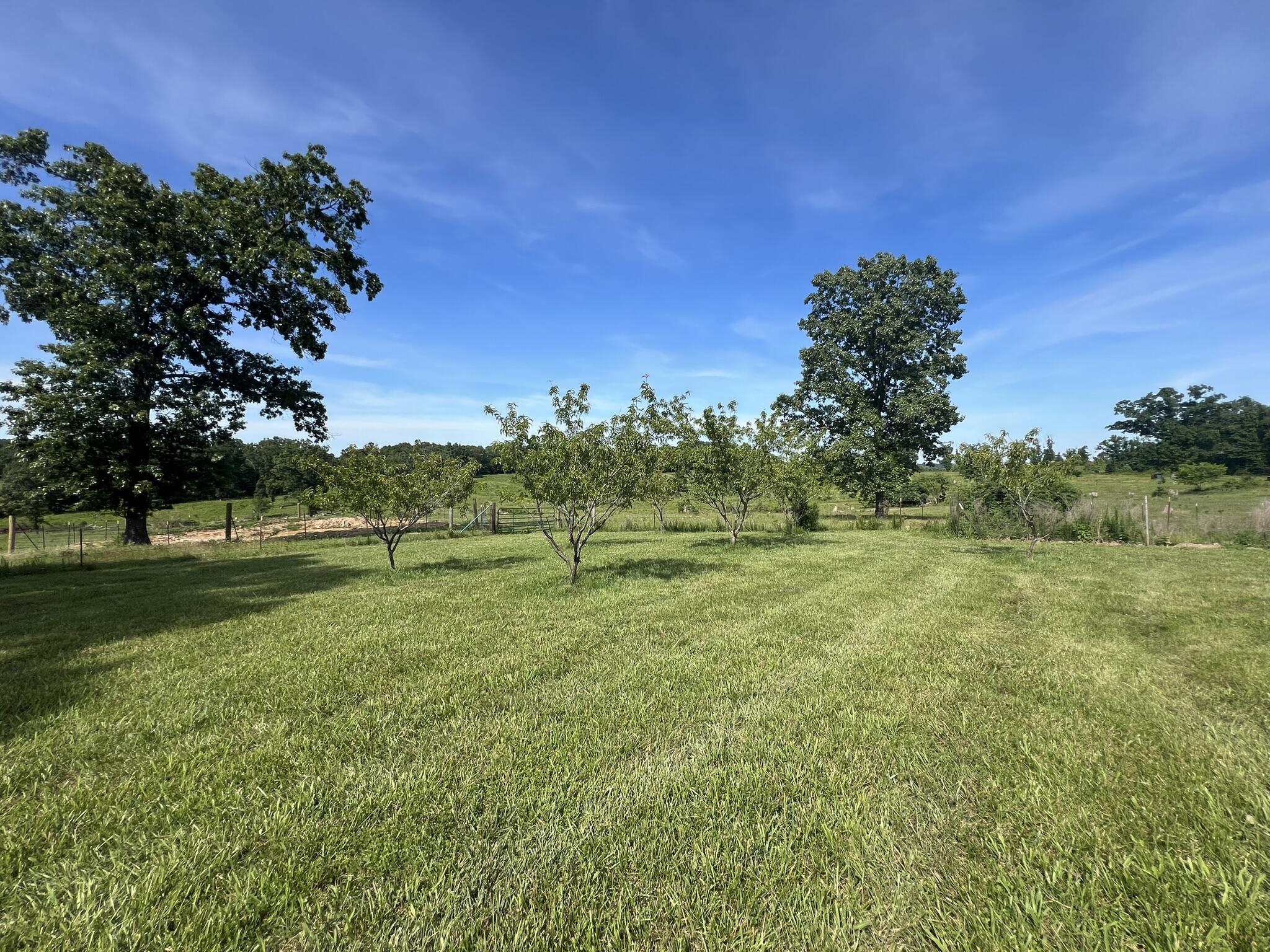 1032 County Road A-409 Property Photo 62