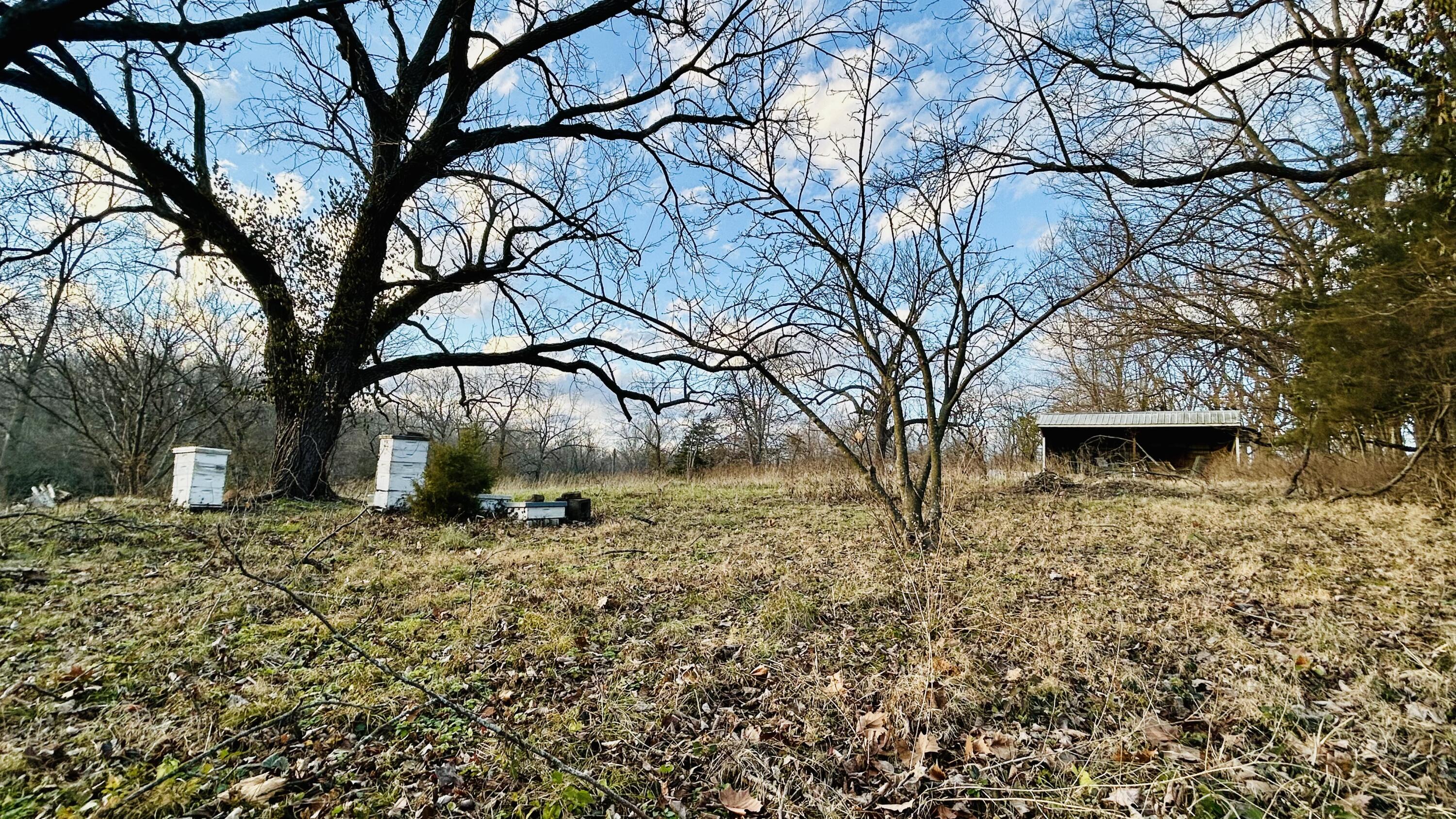22539 Lawrence 1040 Property Photo 10
