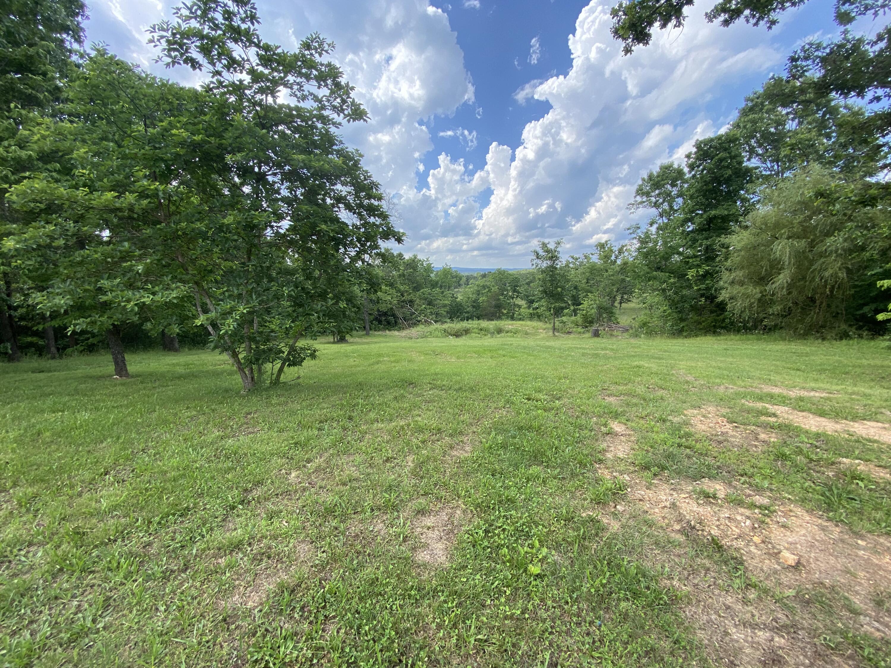 17529 St Highway U Property Photo 59
