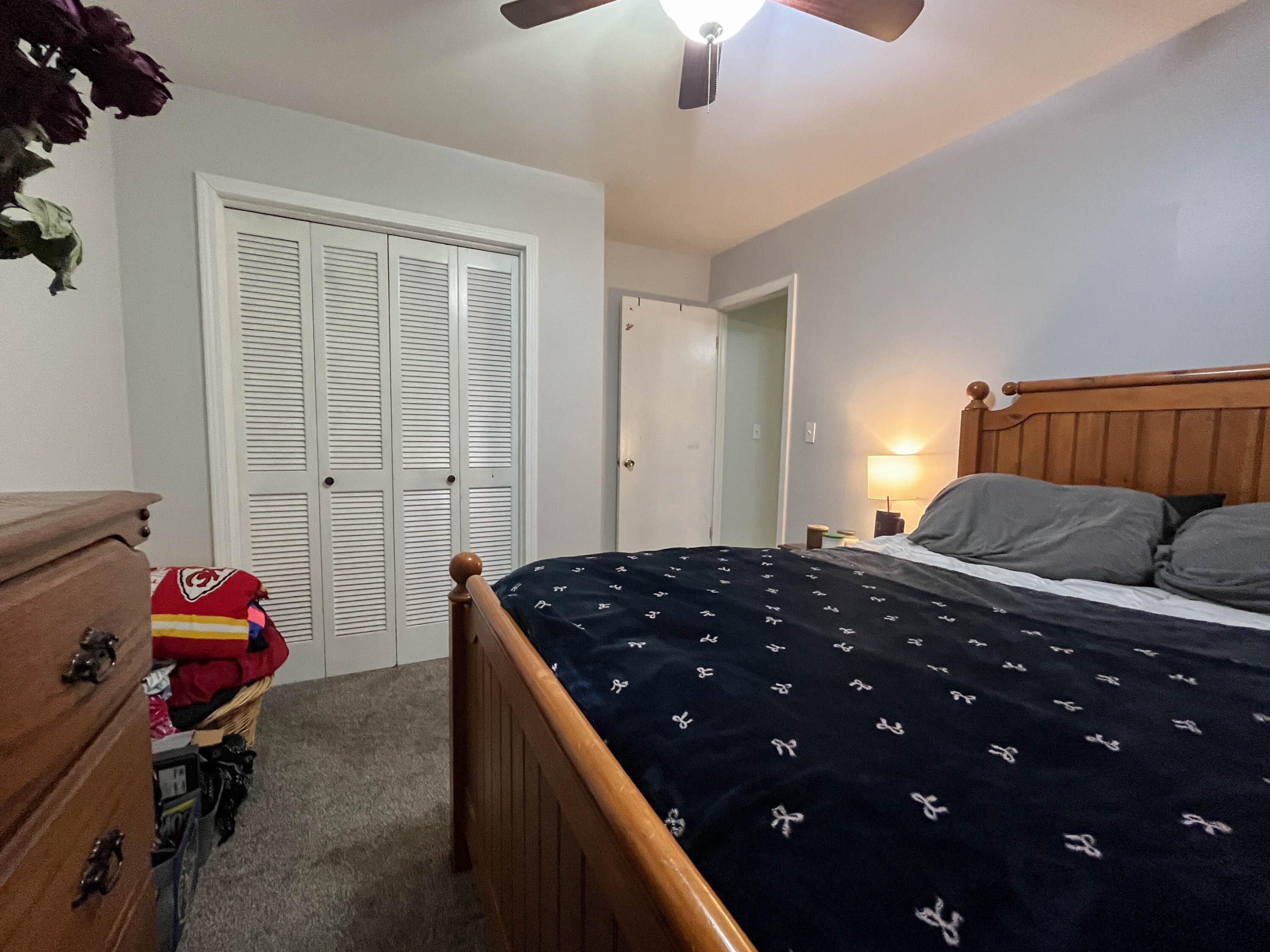 313 Beatrice Street Property Photo 24