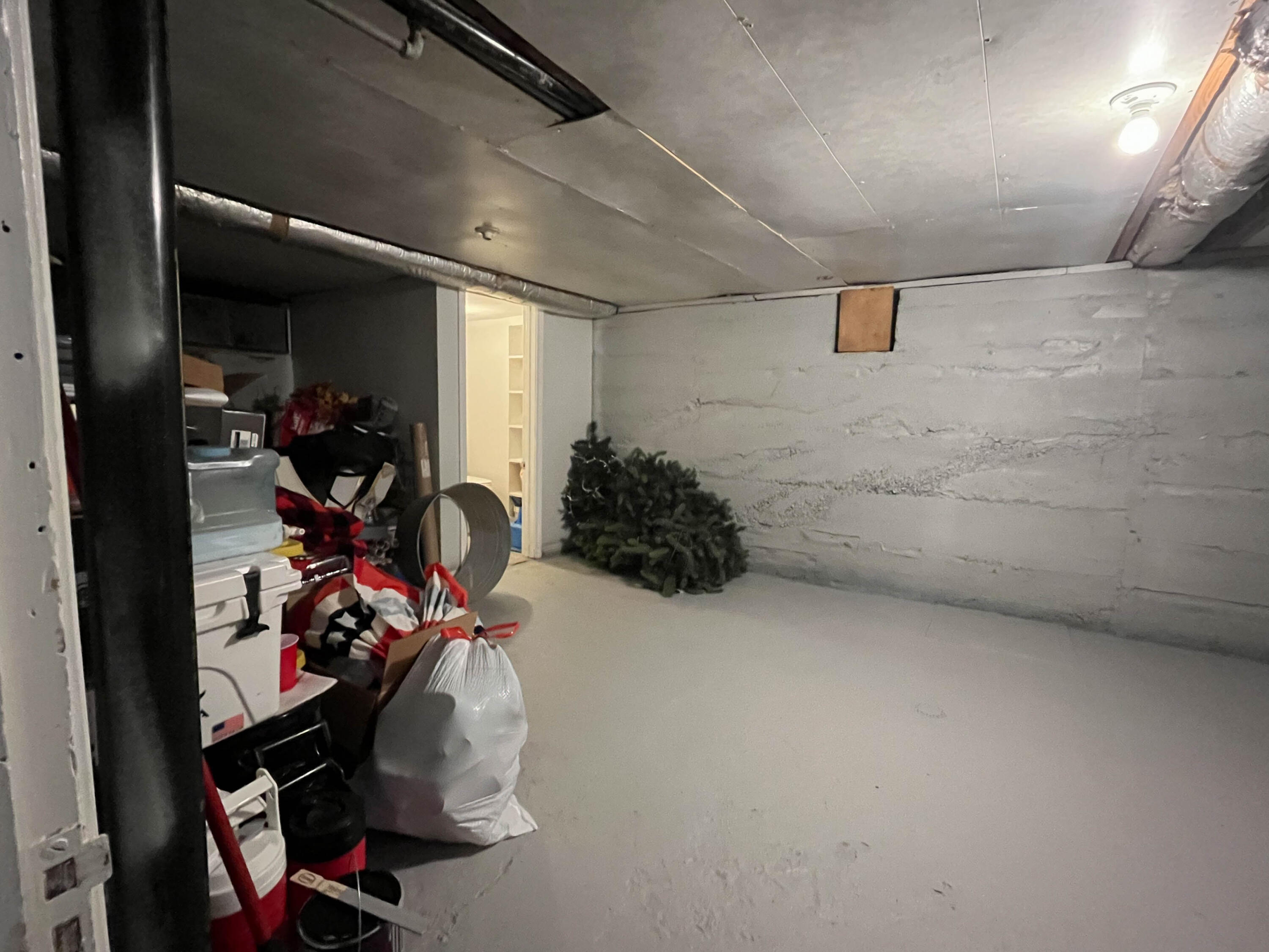 313 Beatrice Street Property Photo 29