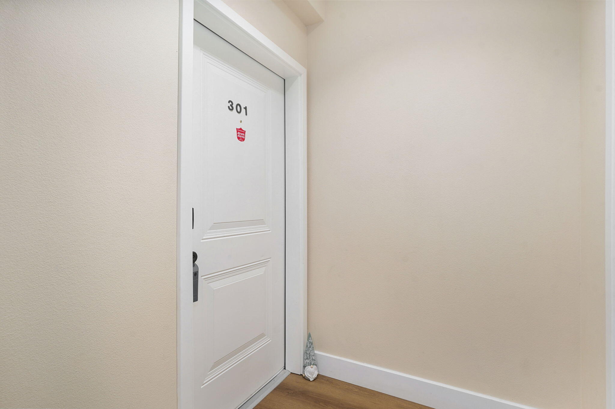 623 West Walnut Street Unit 301 Property Photo 19