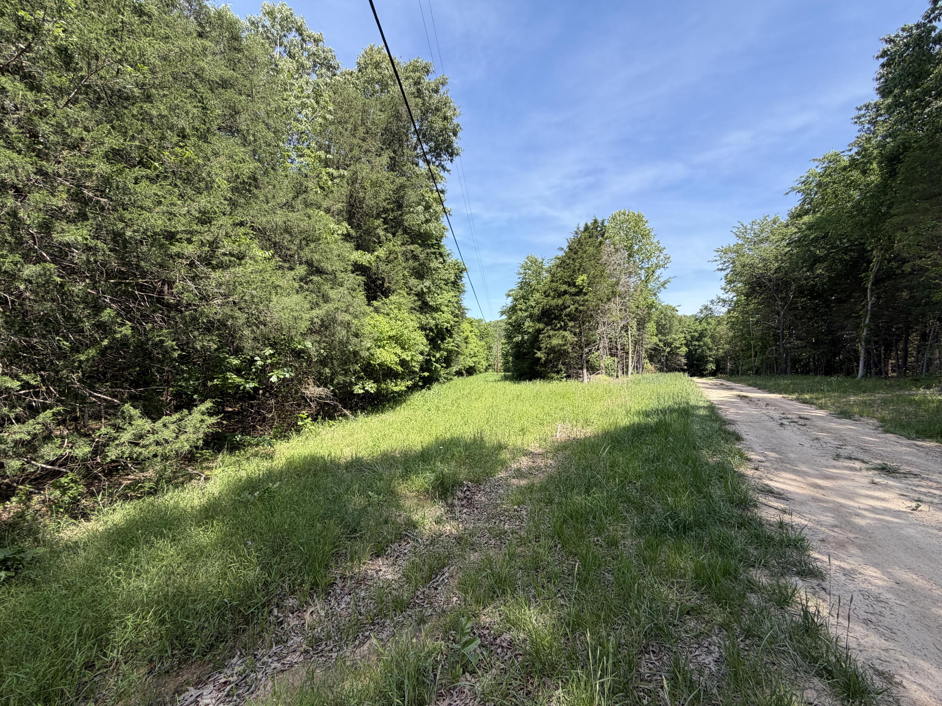 000 County Road 318 Lot 7 Property Photo 7