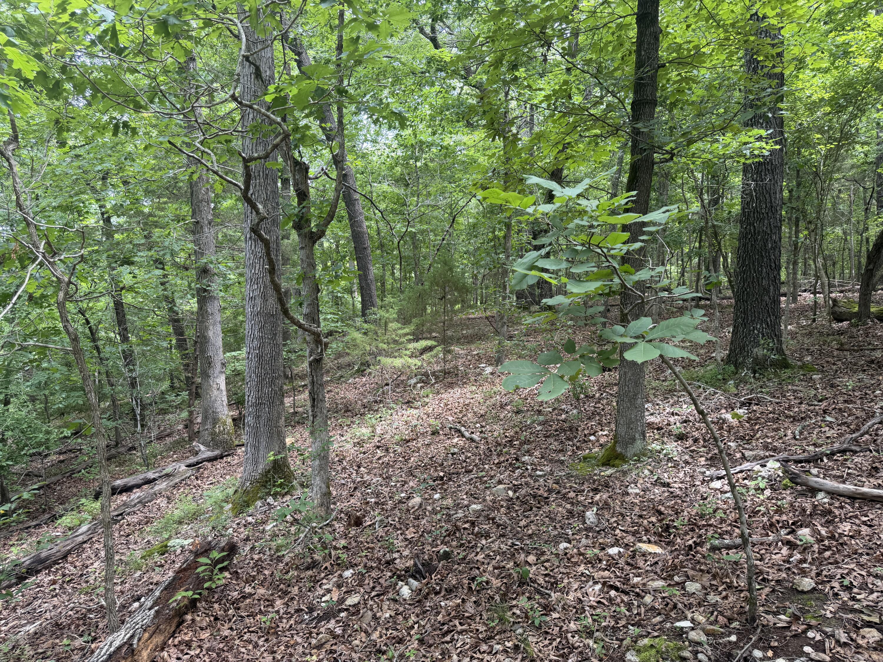 000 County Road 318 Lot 7 Property Photo 9