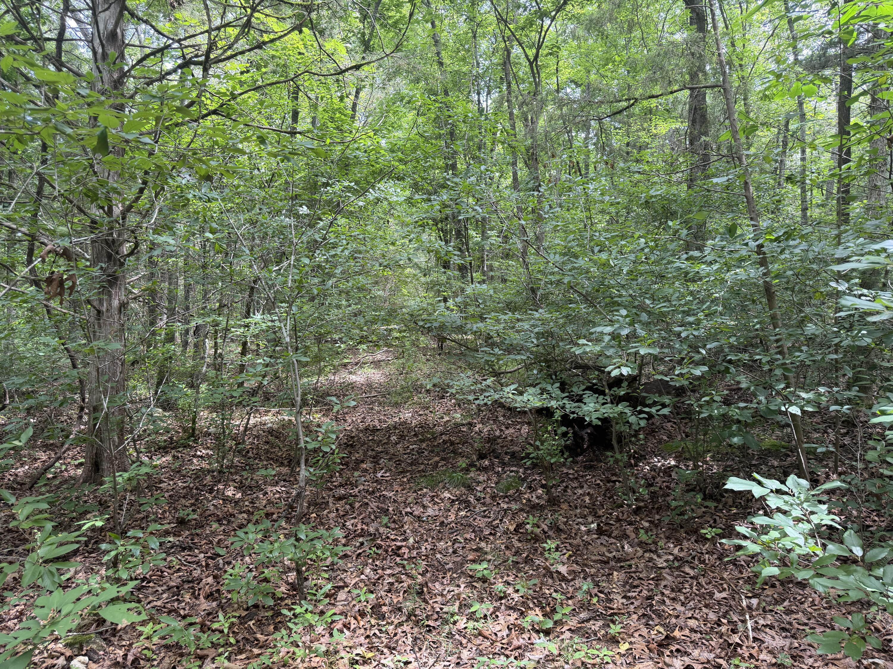 000 County Road 318 Lot 7 Property Photo 11