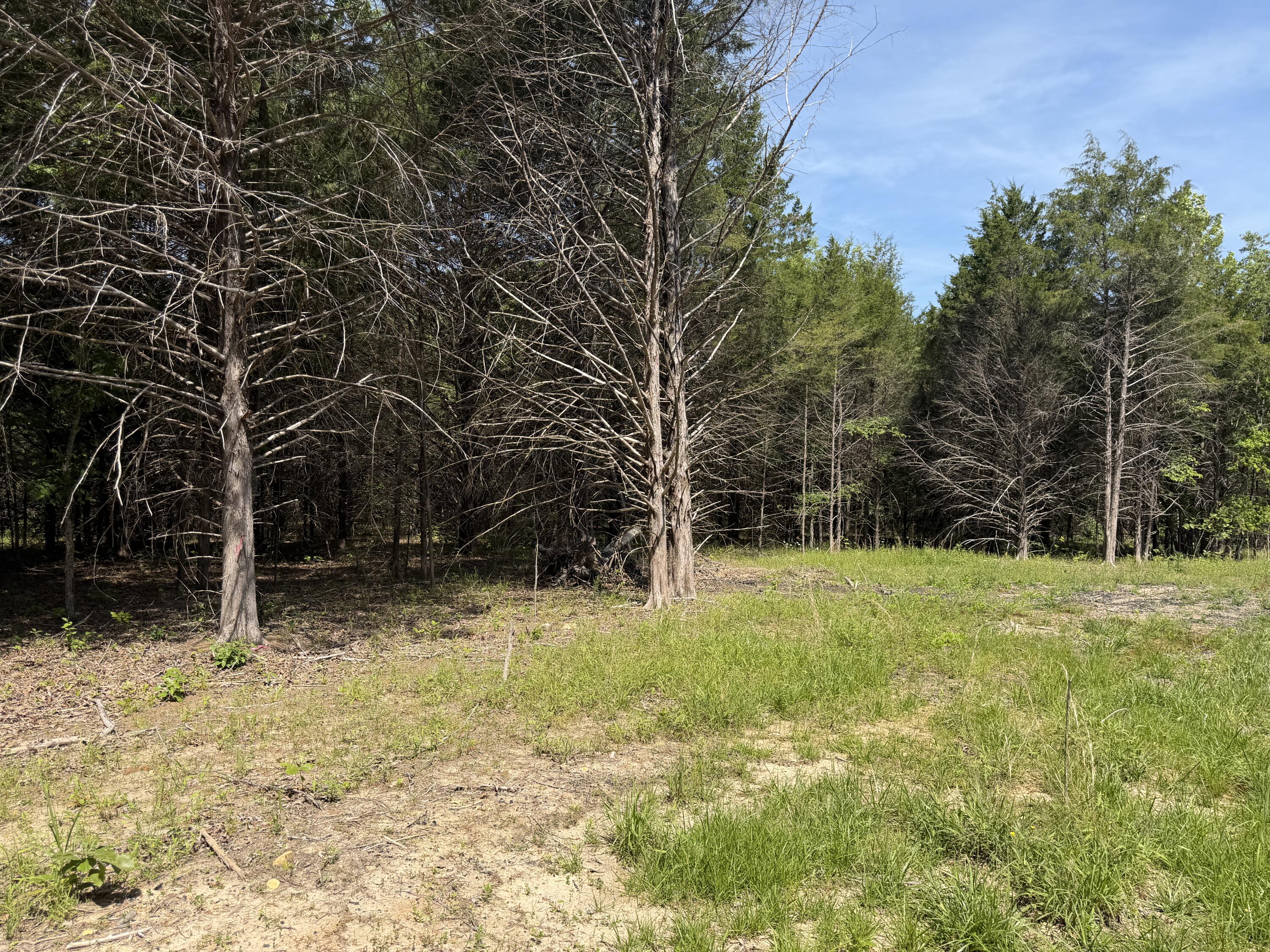 000 County Road 318 Lot 7 Property Photo 16
