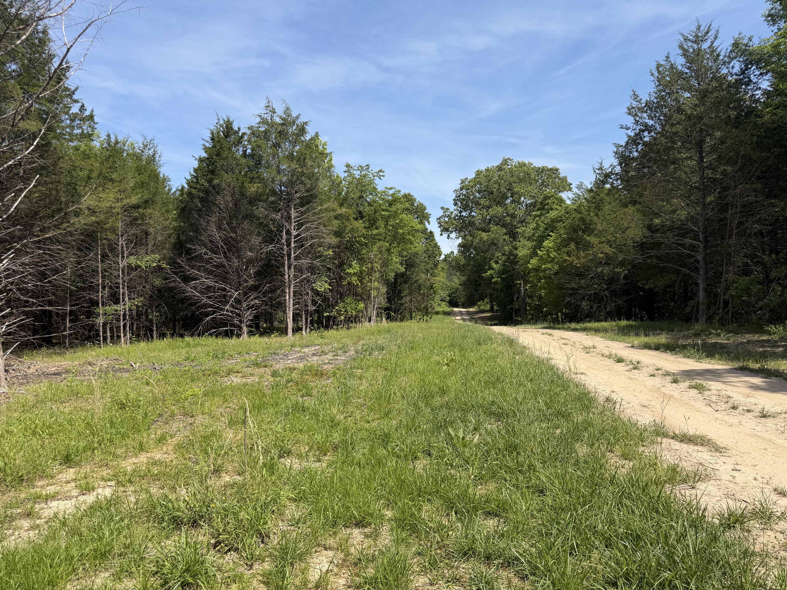 000 County Road 318 Lot 7 Property Photo 17