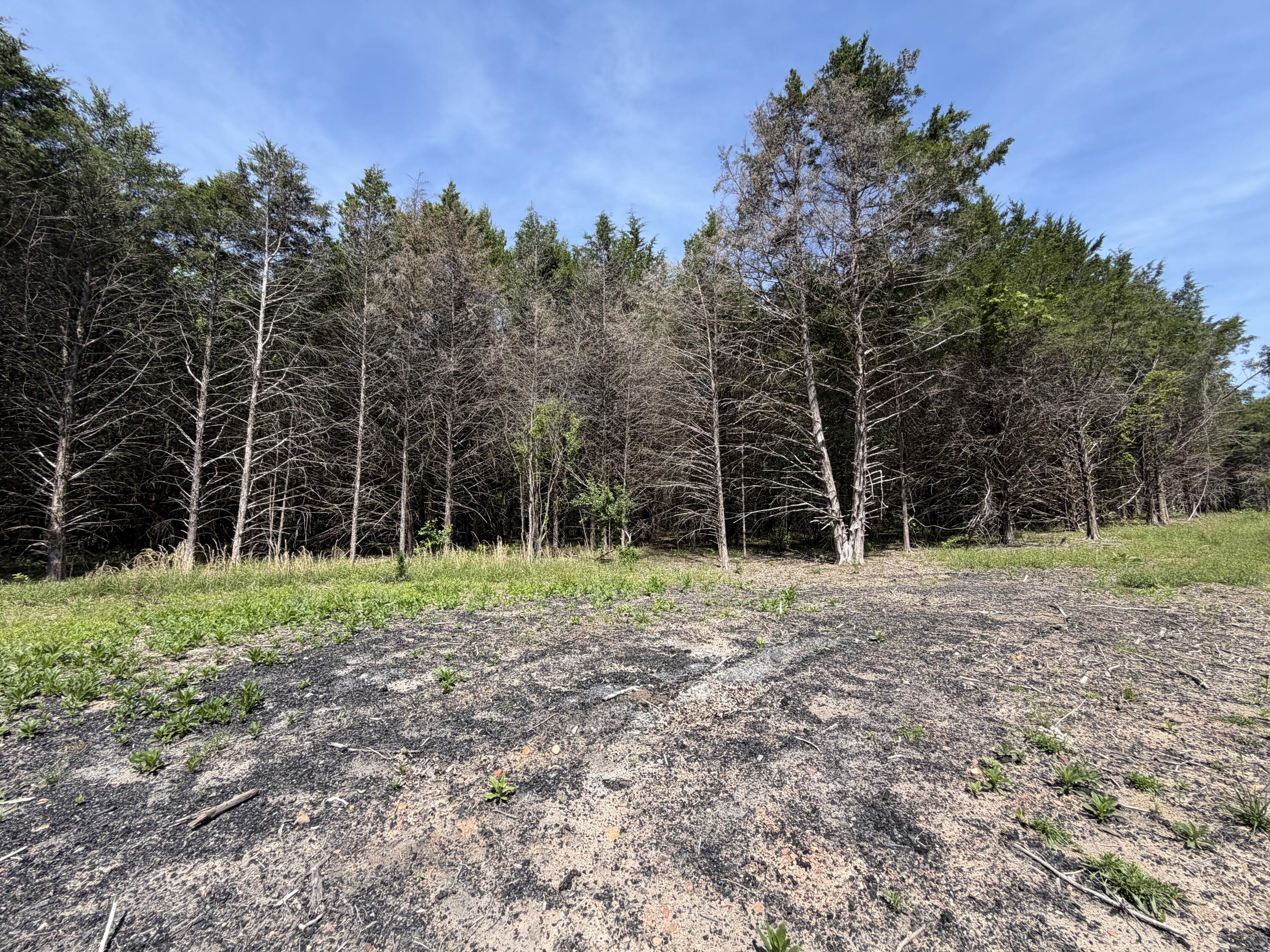 000 County Road 318 Lot 7 Property Photo 18