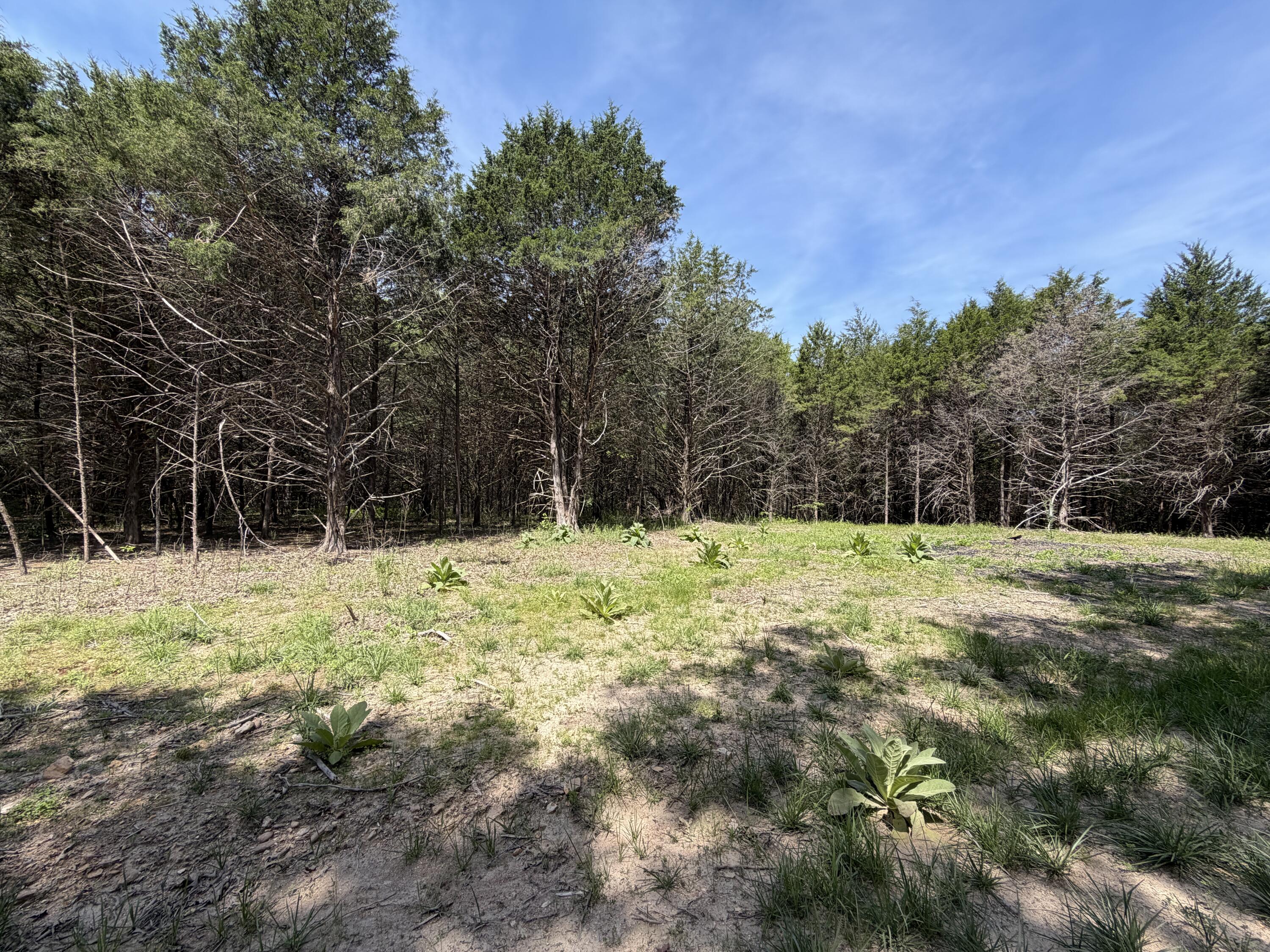 000 County Road 318 Lot 7 Property Photo 20