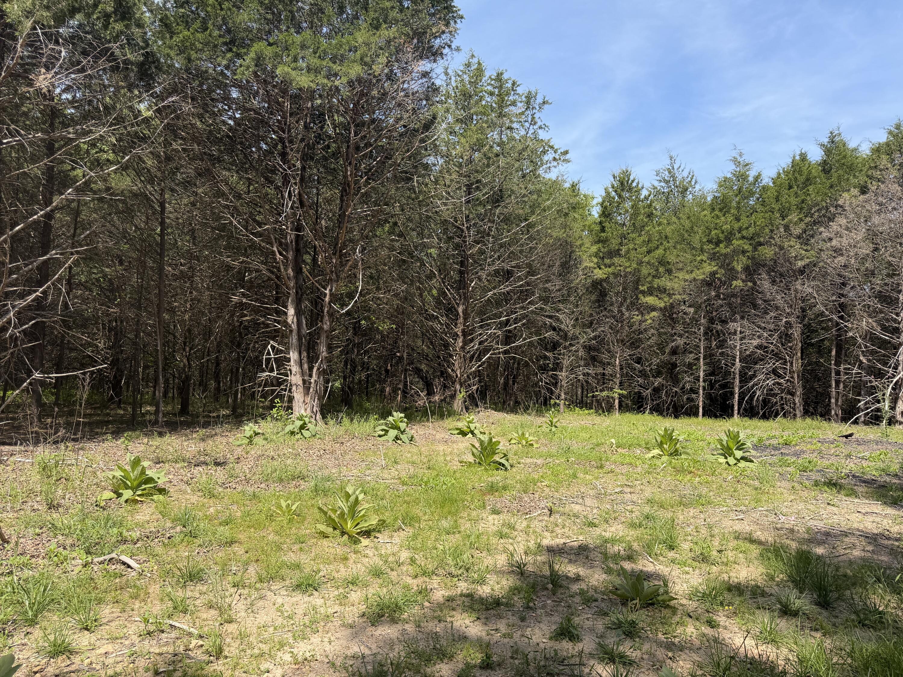 000 County Road 318 Lot 7 Property Photo 21